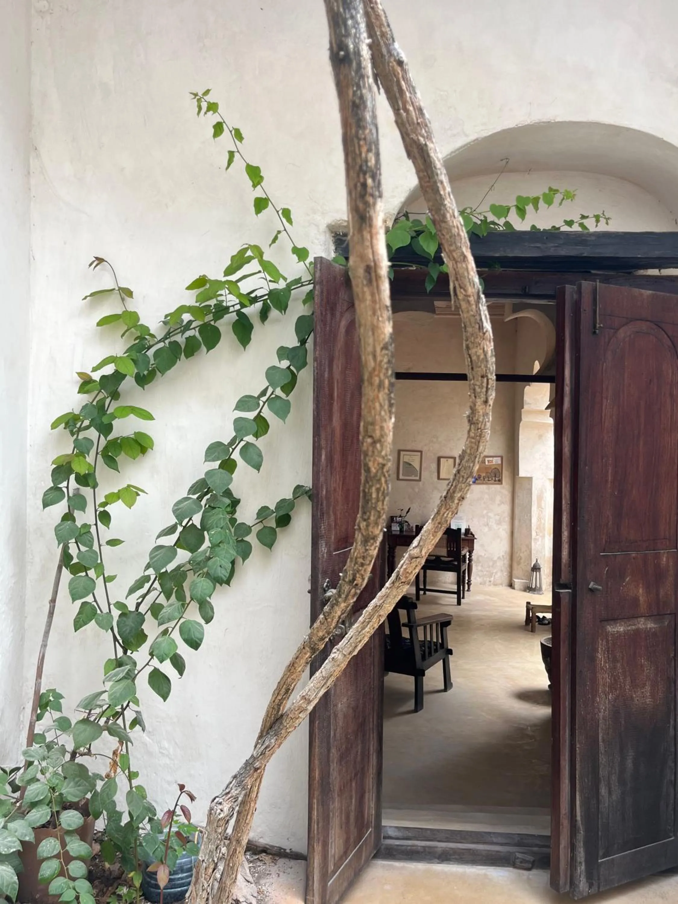 Patio in Subira House