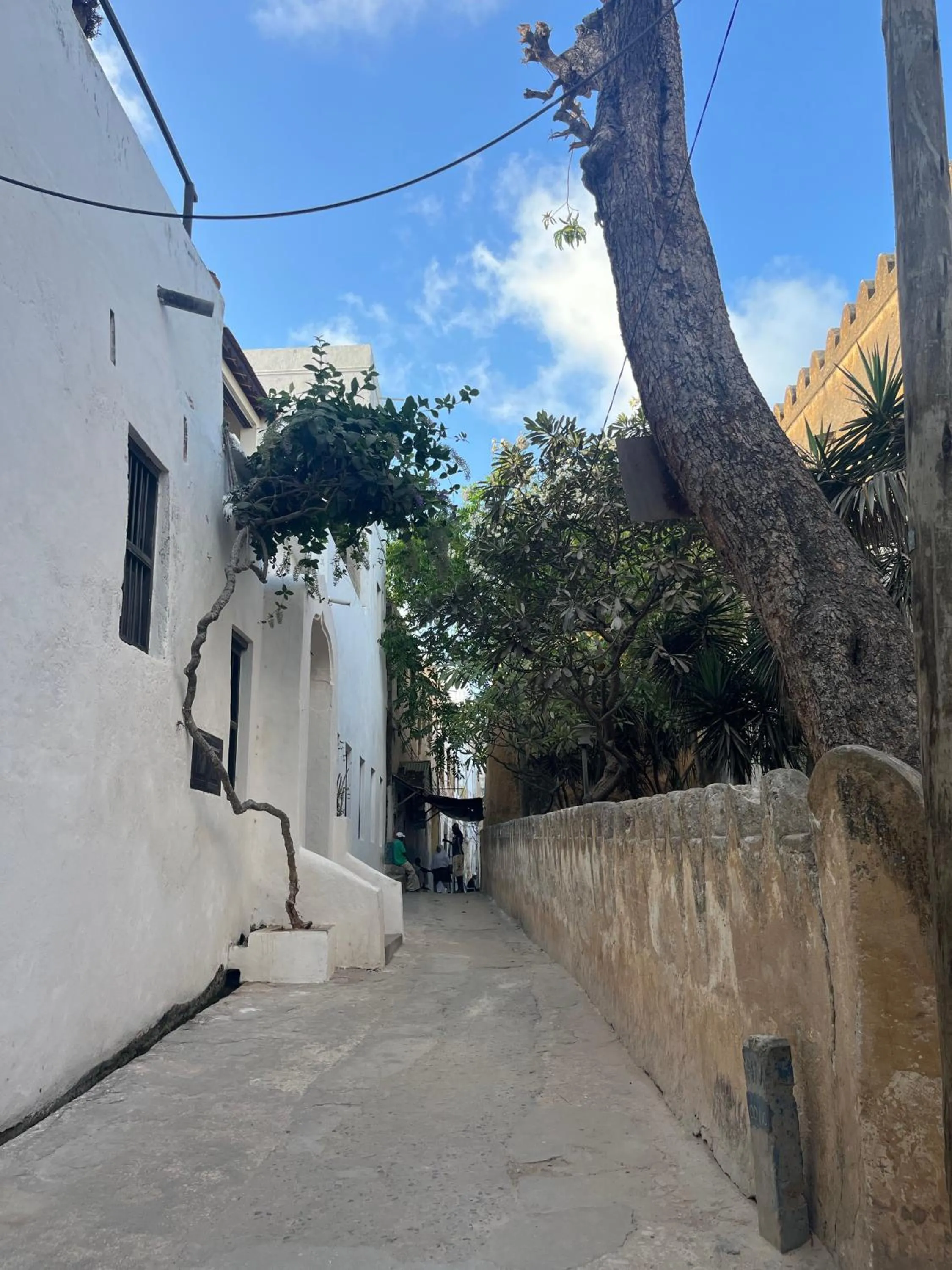 Property building in Subira House