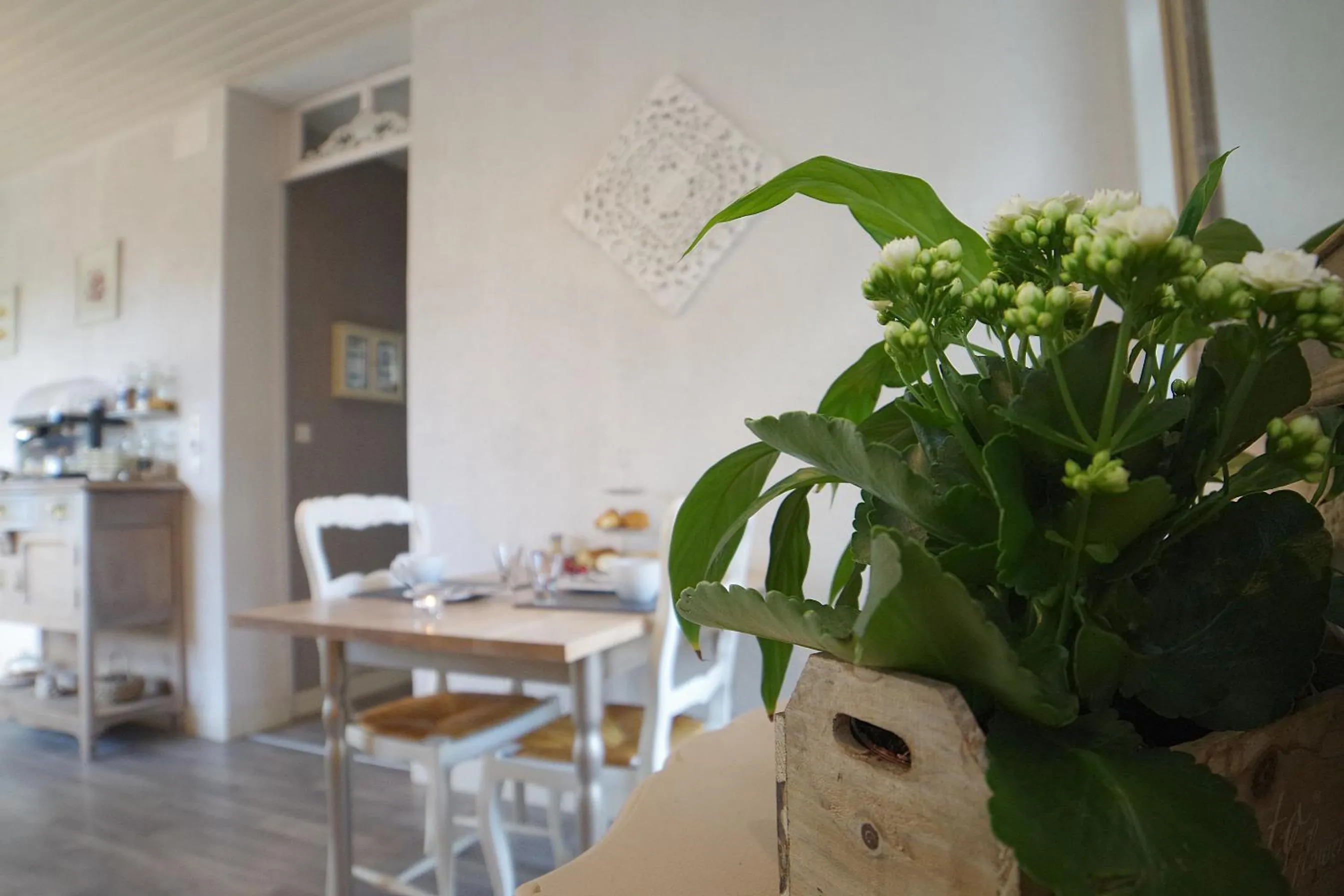 Continental breakfast in Les 4 saisons