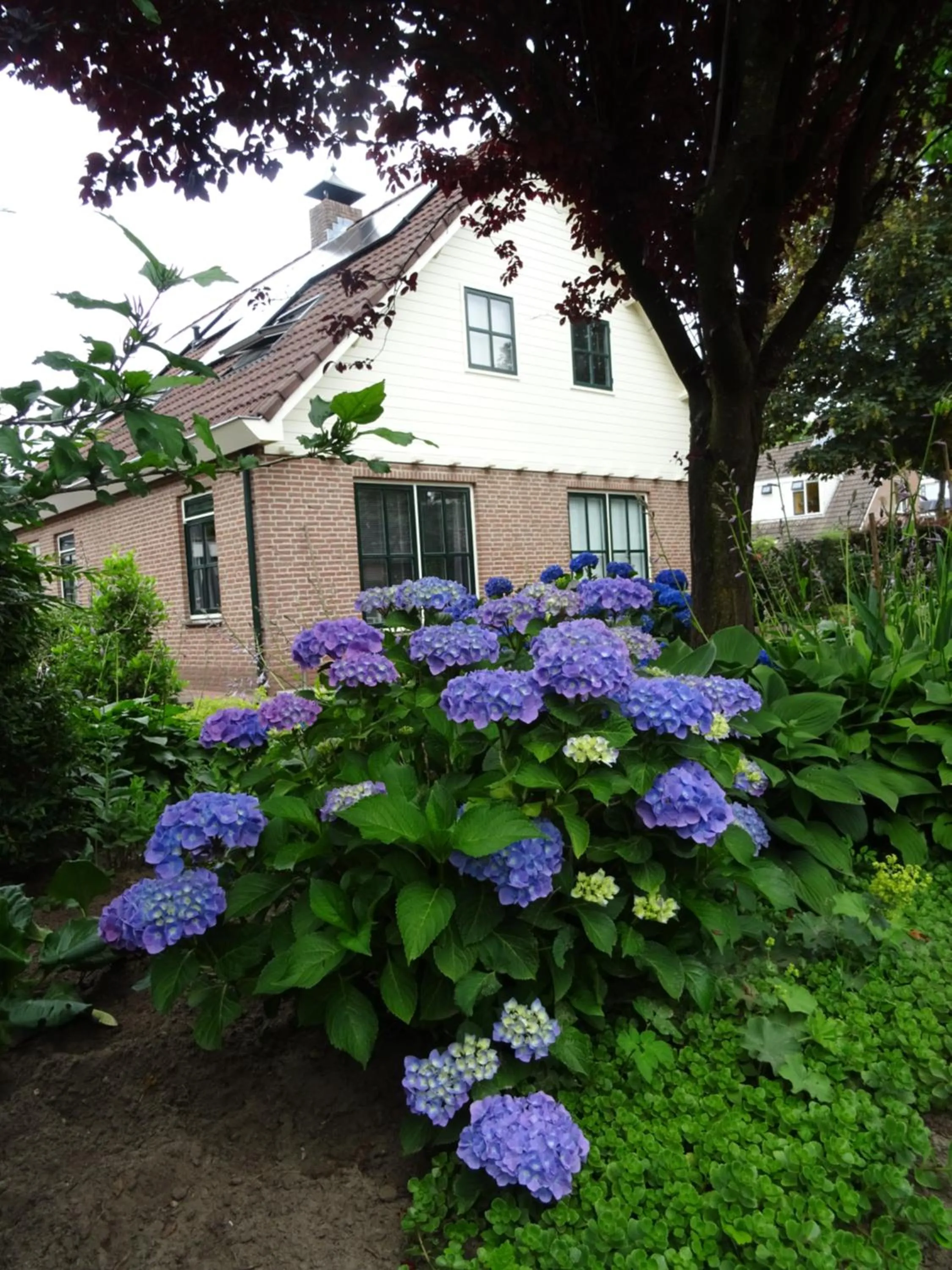 Property building in Bed & Breakfast de Vrijheid