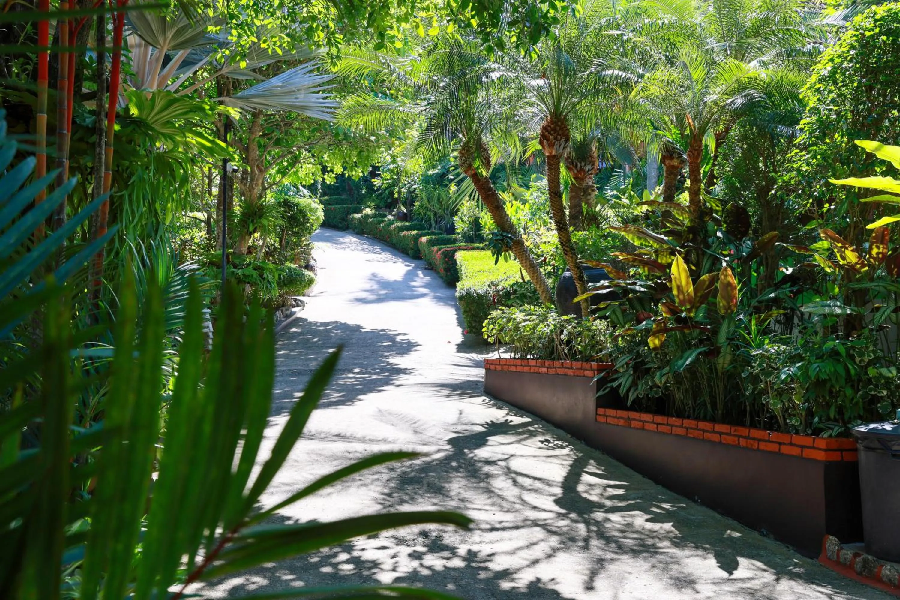 Natural landscape in Baan Vanida Garden Resort