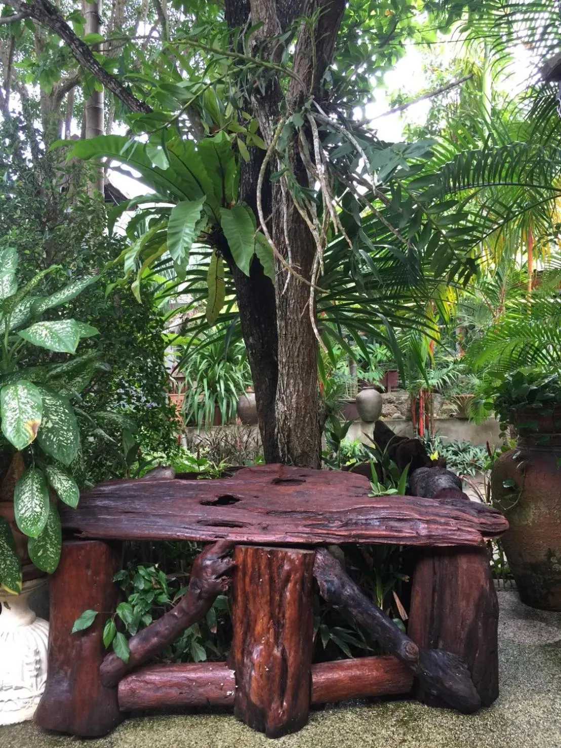 Garden in Baan Vanida Garden Resort