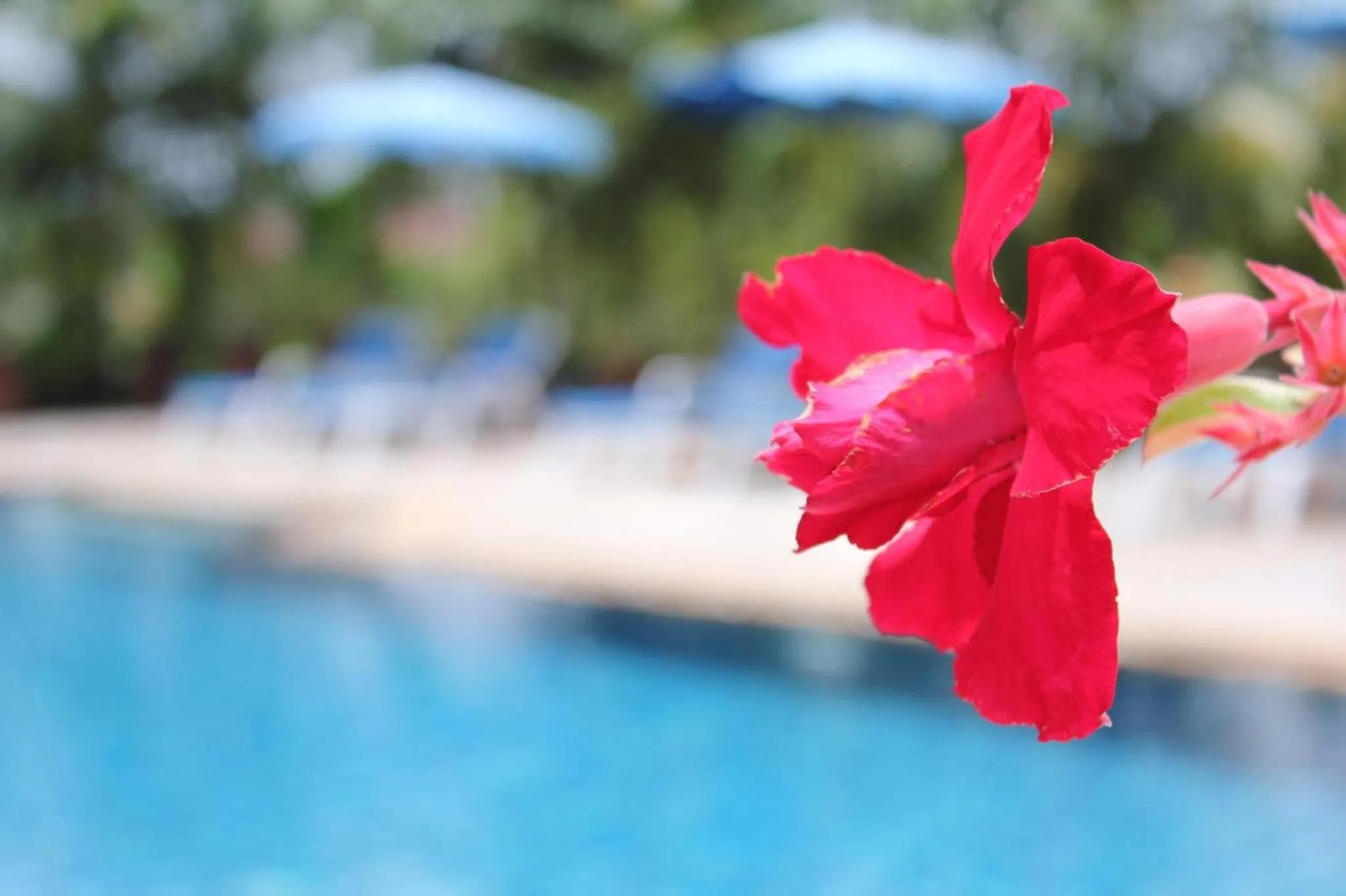 Baan Vanida Garden Resort