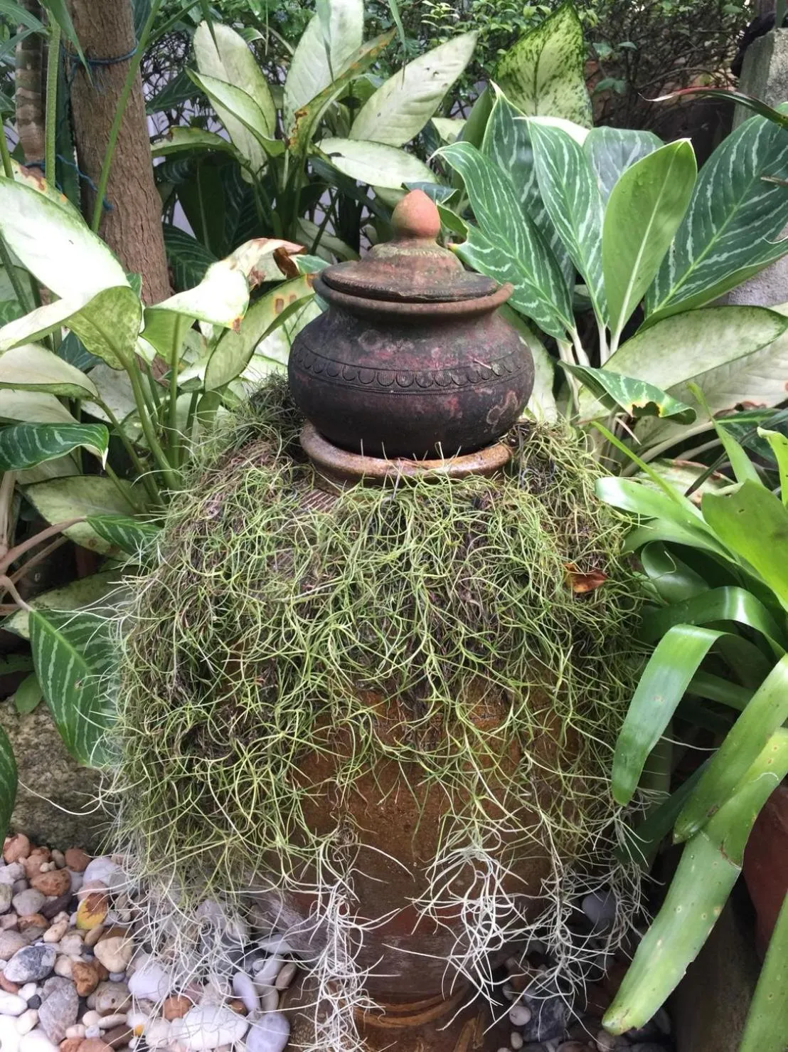 Garden view in Baan Vanida Garden Resort