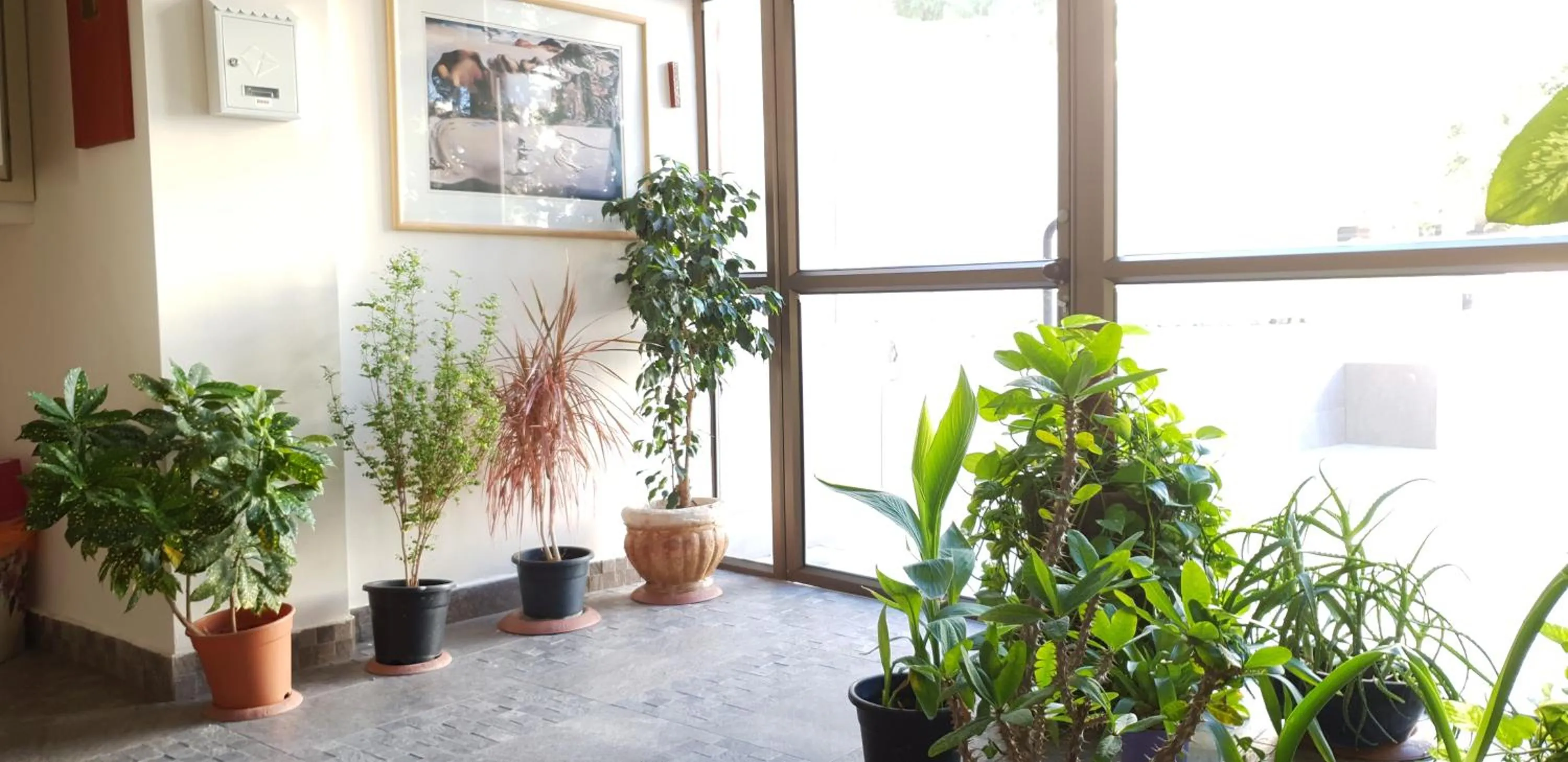 Facade/entrance in David Hameleh House