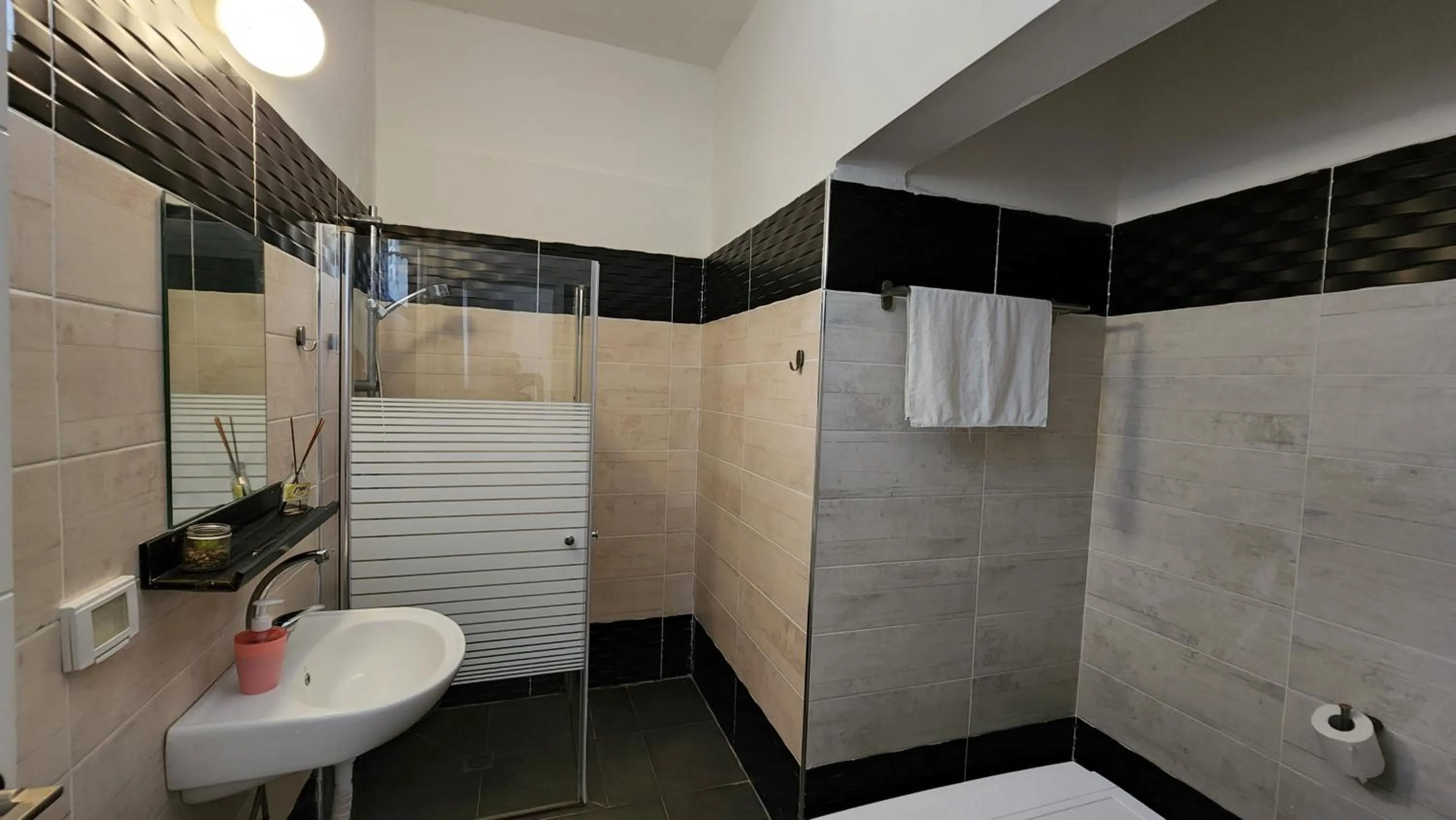 Shower in David Hameleh House