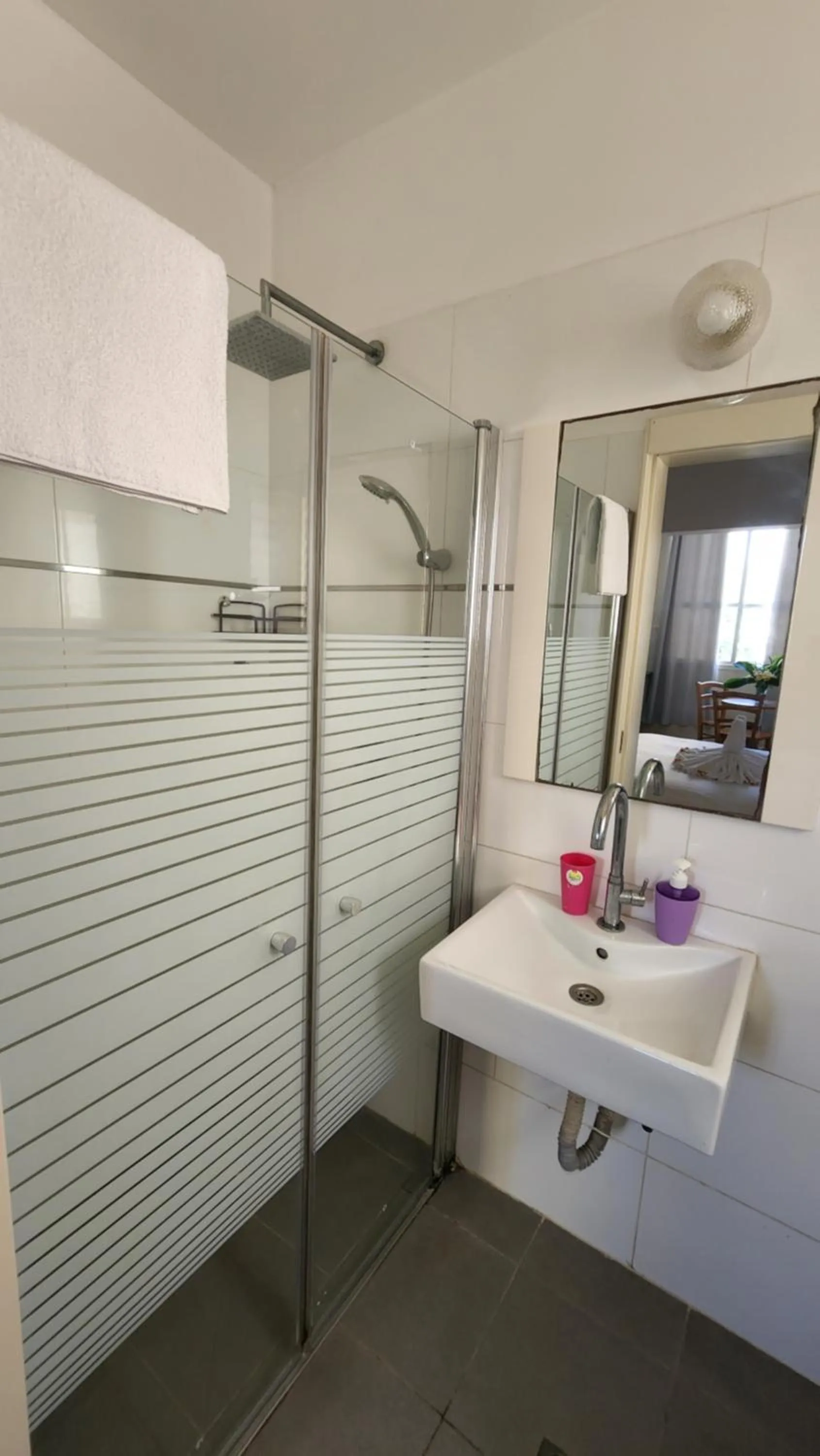 Shower in David Hameleh House