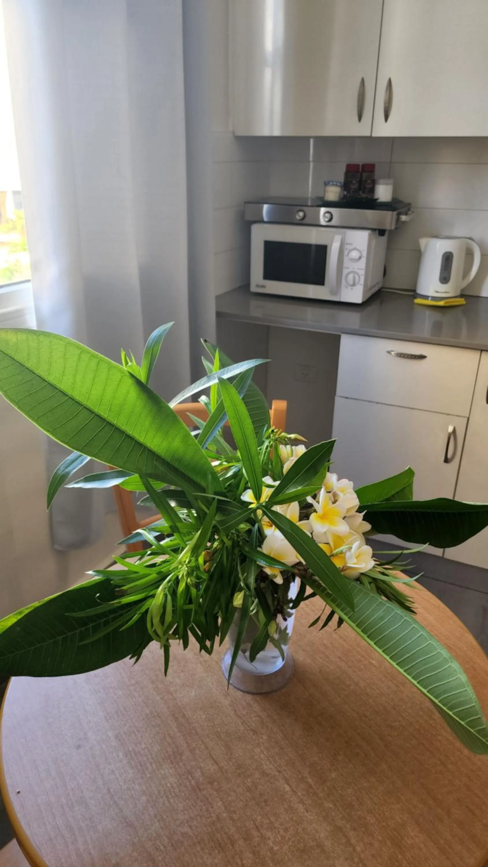 Kitchen or kitchenette in David Hameleh House