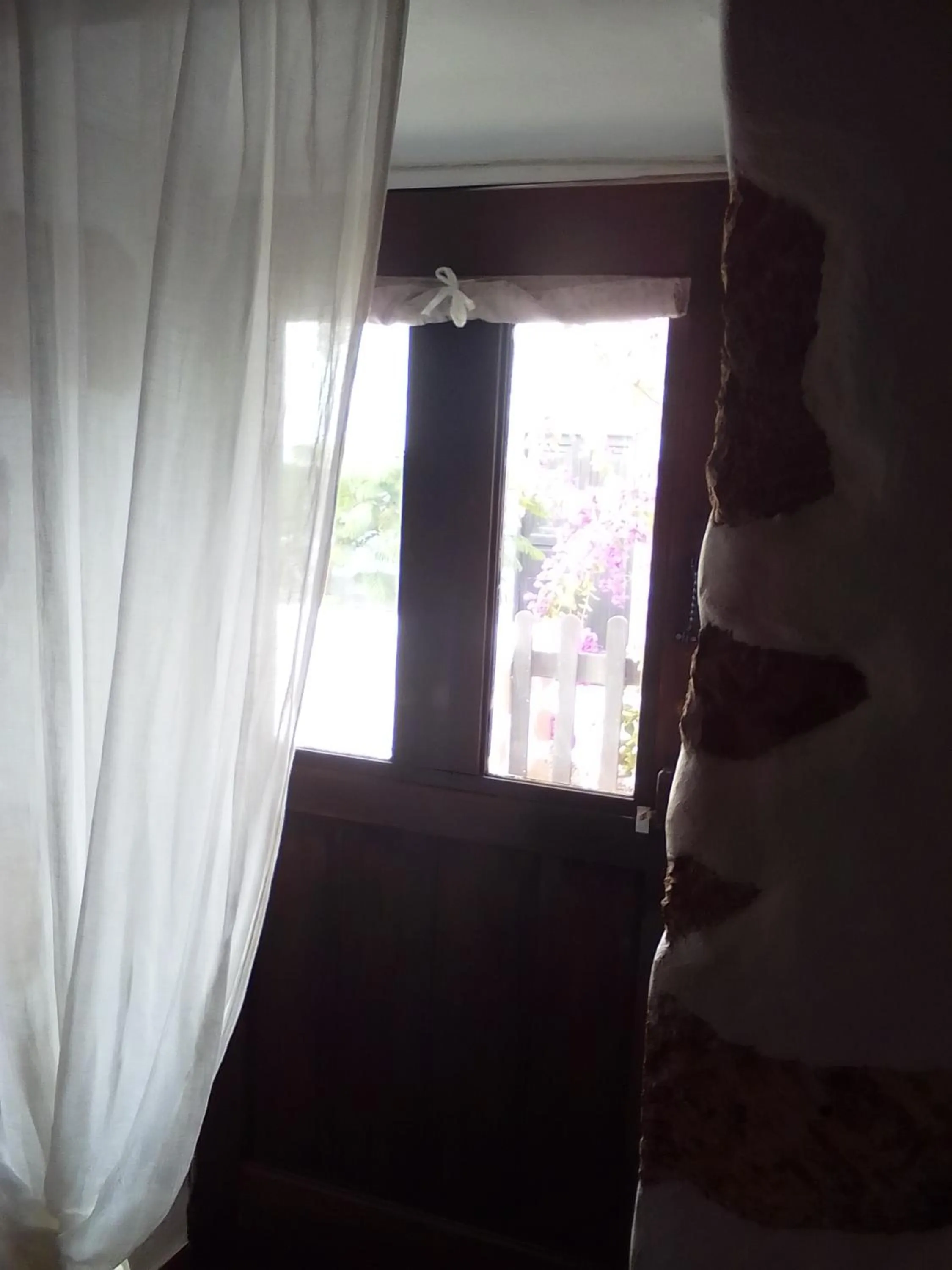 Garden view in Villa Cecilio