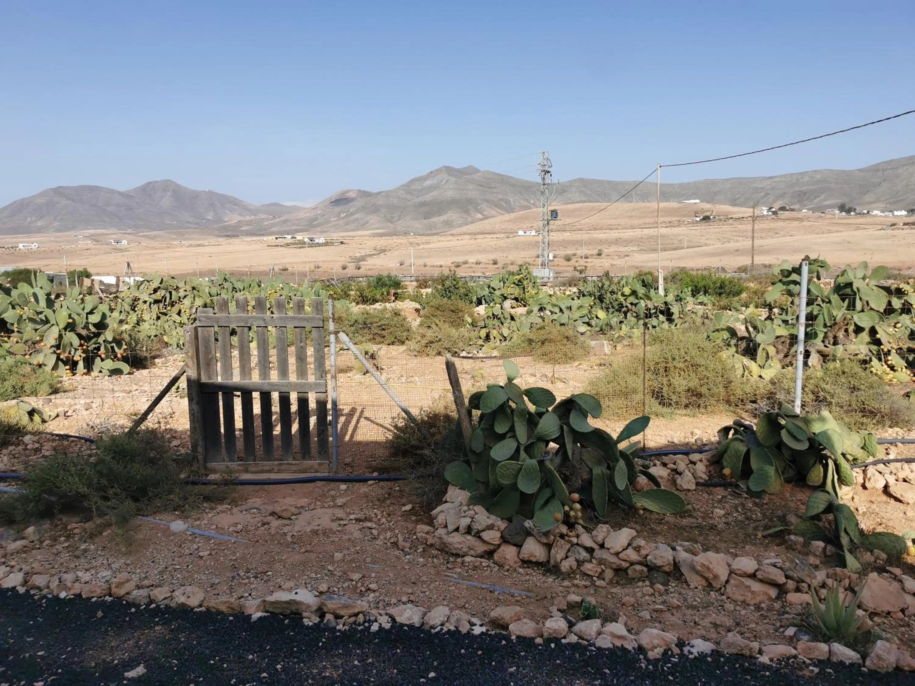 Off site in Villa Cecilio