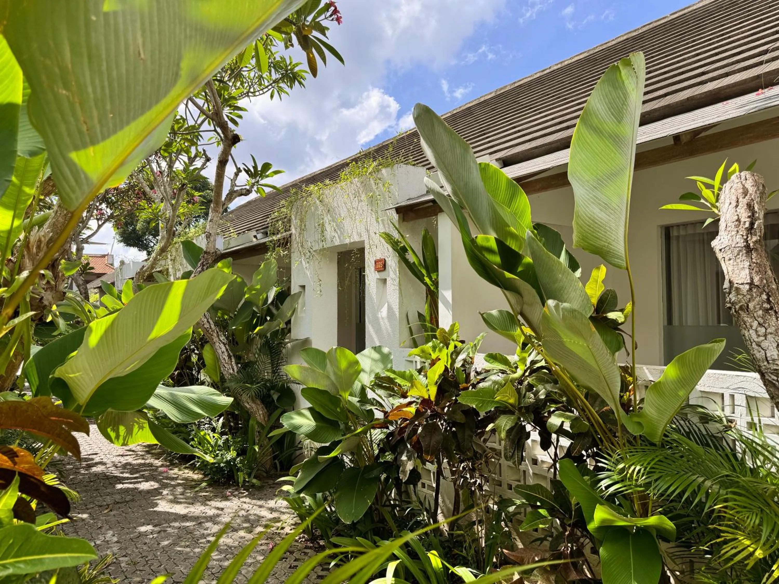 Patio in Lubdhaka Canggu