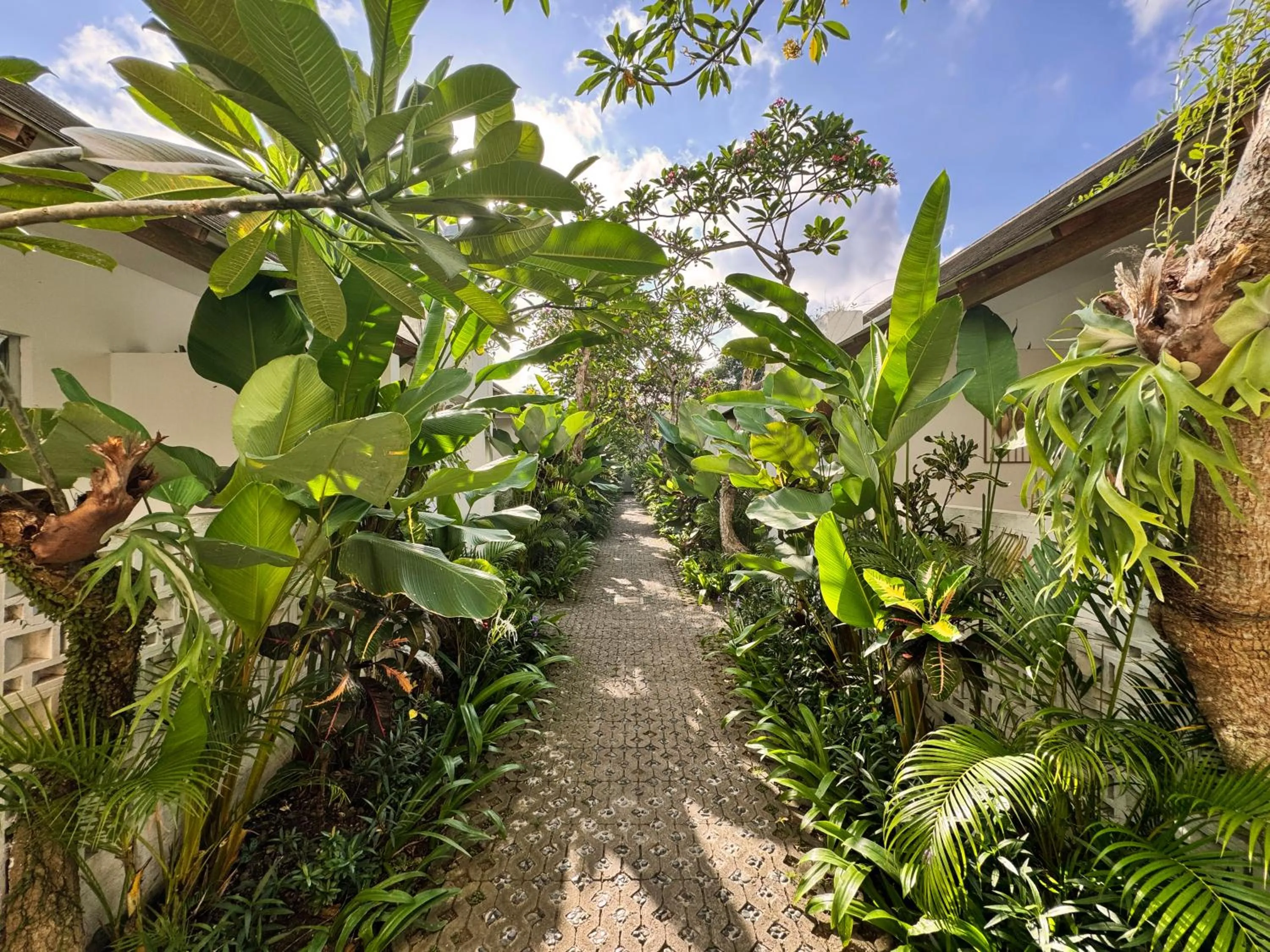Patio in Lubdhaka Canggu
