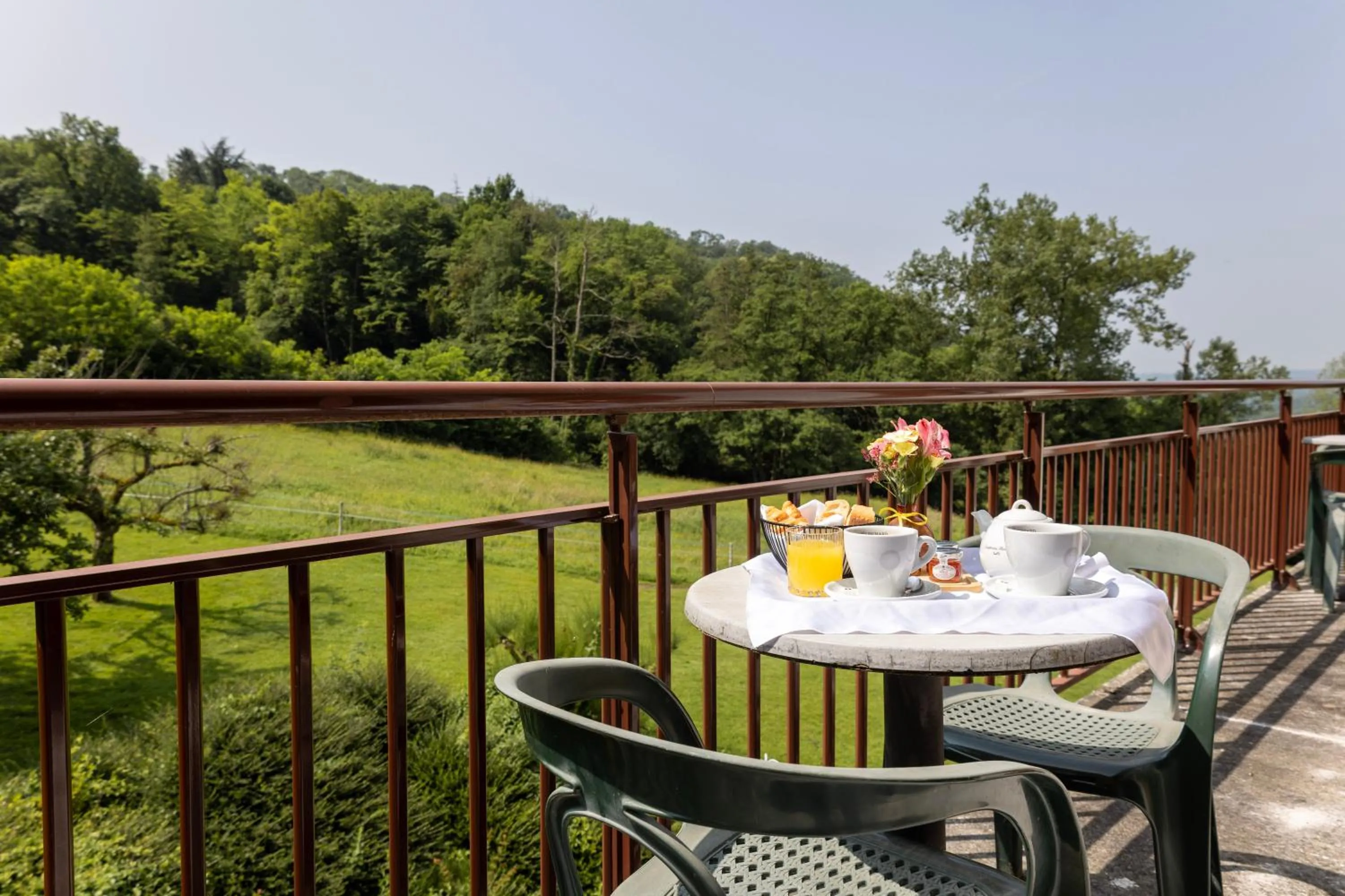 Balcony/Terrace in Hôtel les Bergeronnettes