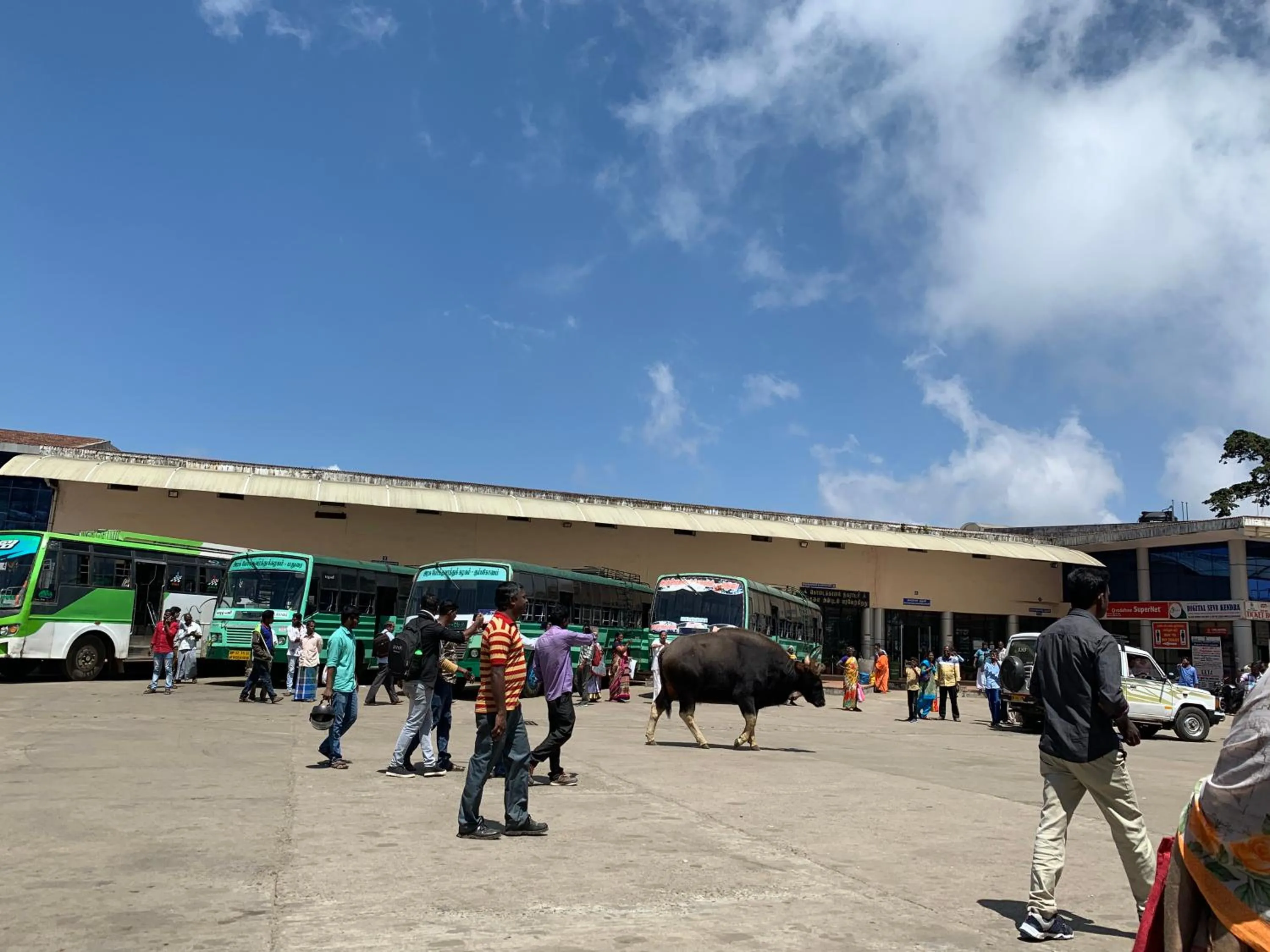 Day in JC Woodville Manor