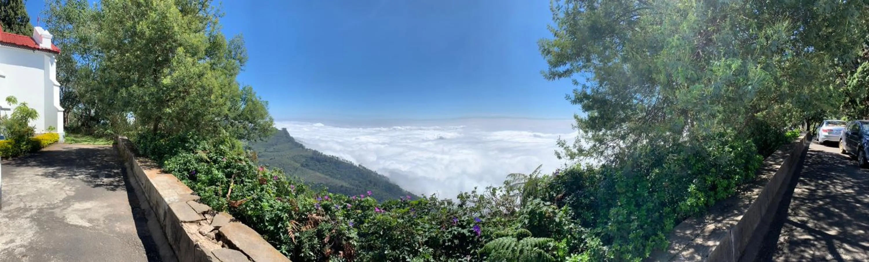 Natural landscape in JC Woodville Manor