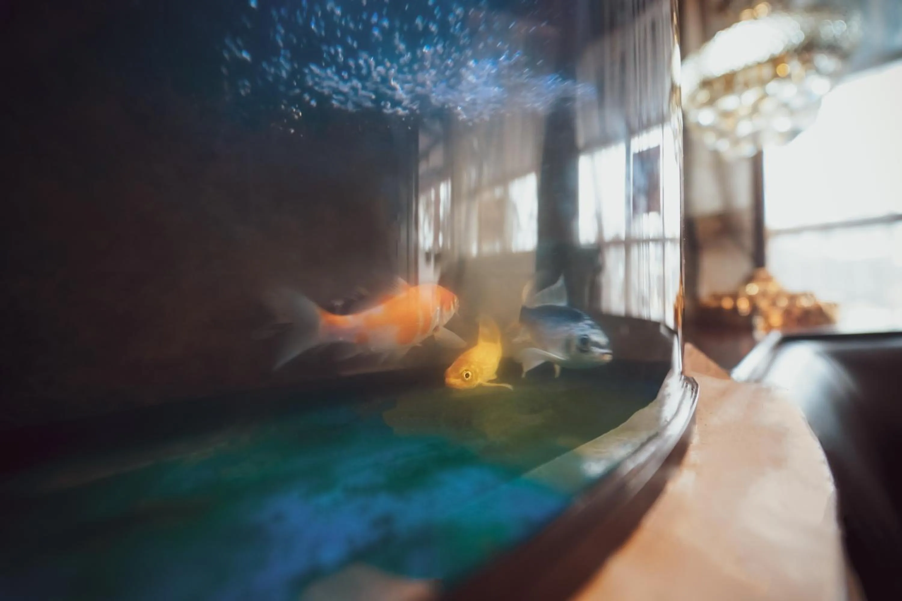 Facade/entrance in JC Woodville Manor