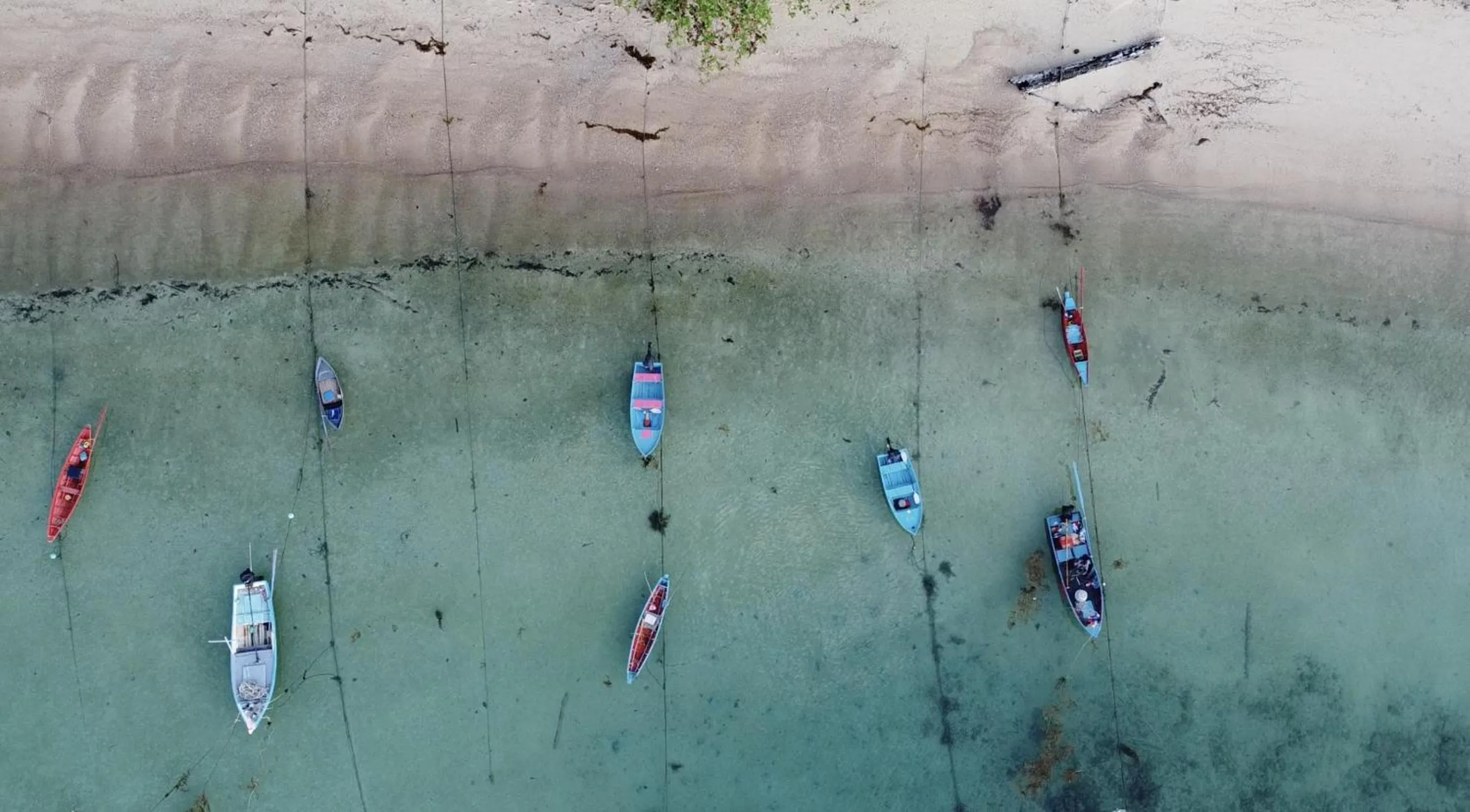 Beach in Beyond The Blue Horizon Boutique Bungalows