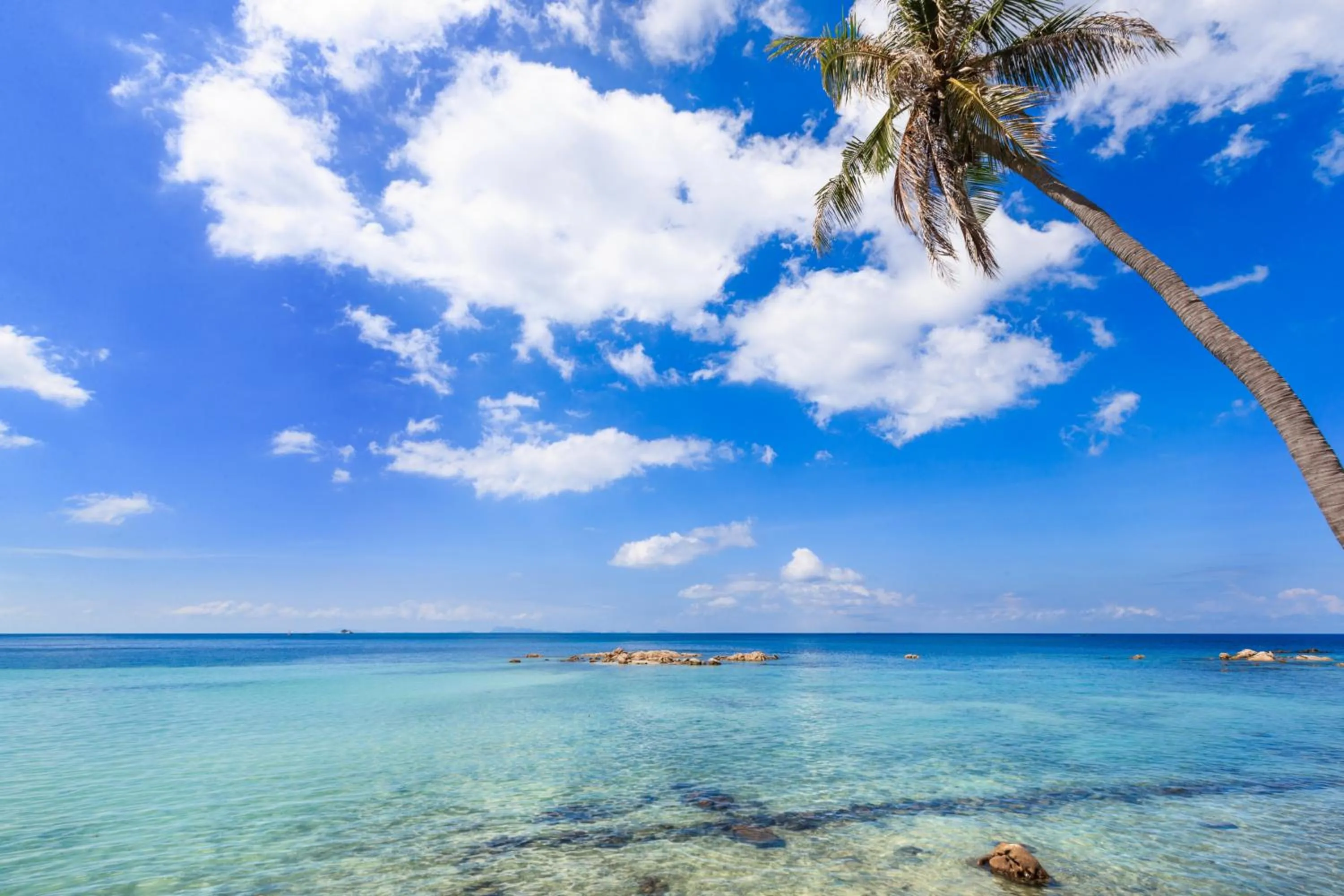 Beach in Beyond The Blue Horizon Boutique Bungalows
