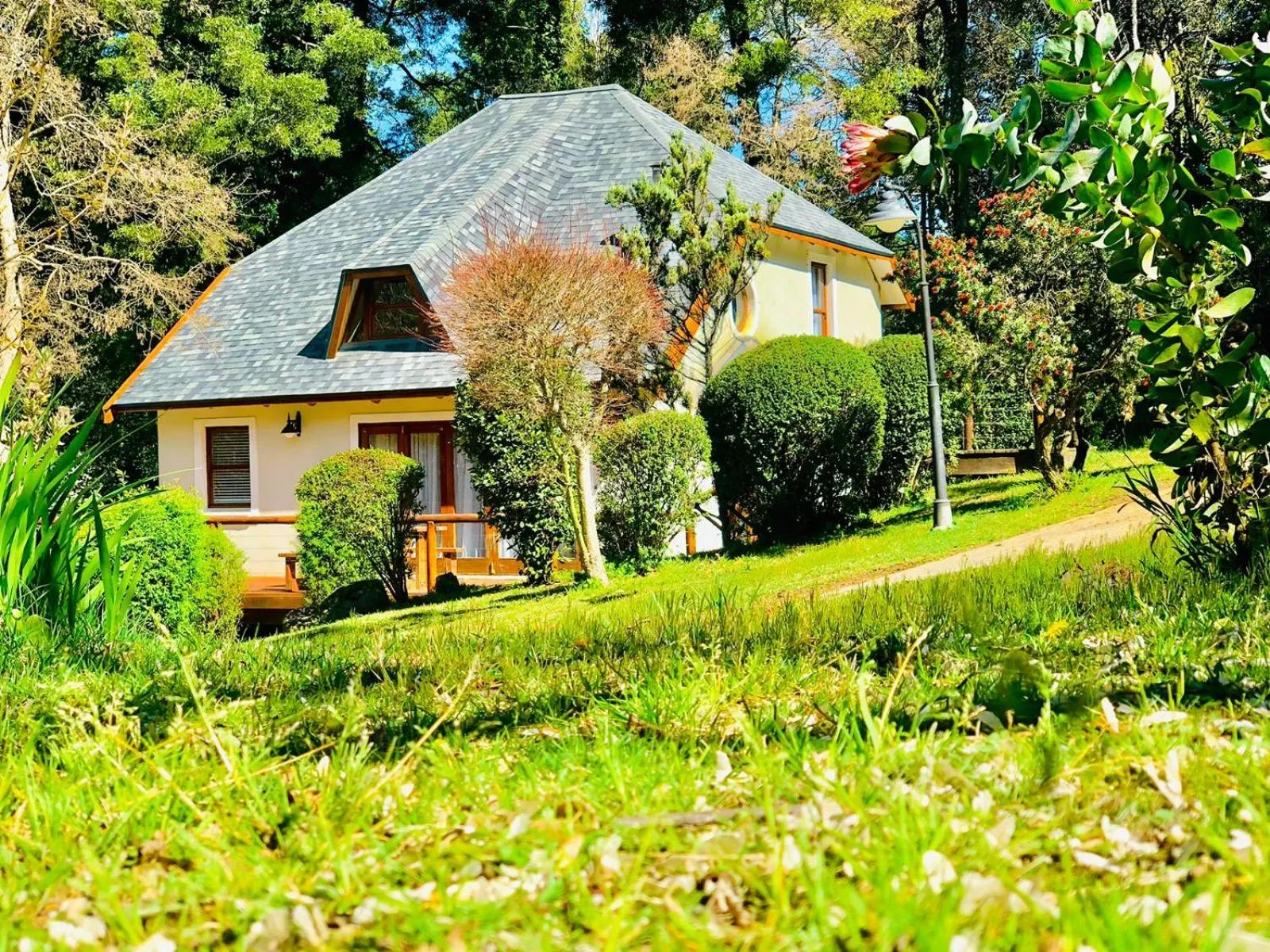 Hogsback Arminel Hotel