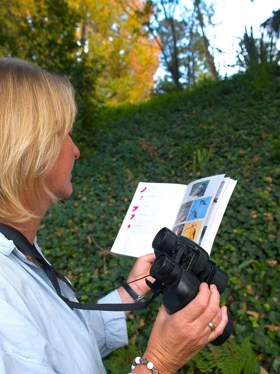 Balcony/Terrace in Hogsback Arminel Hotel