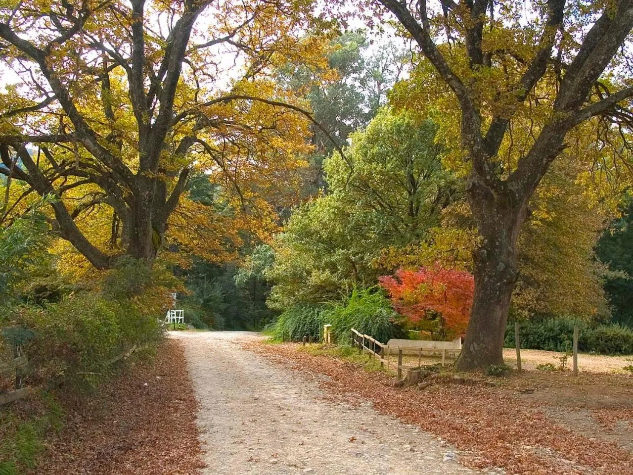 Natural landscape in Hogsback Arminel Hotel