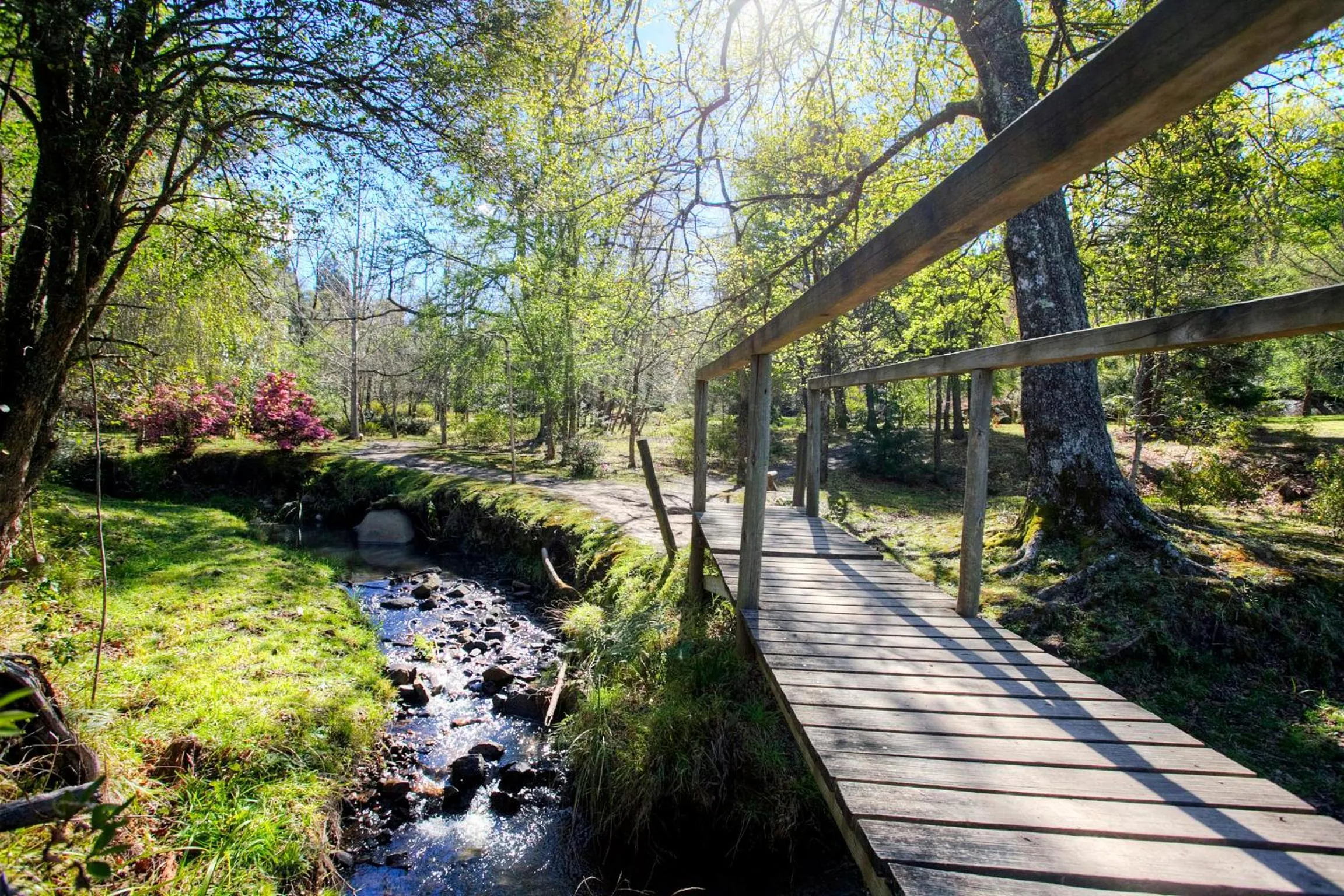 Garden view in Hogsback Arminel Hotel