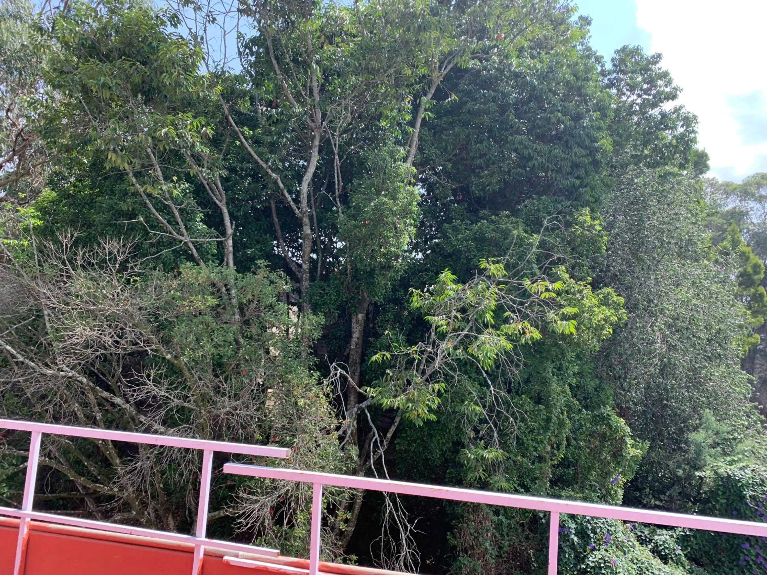 Spring in Hotel Jc Grand