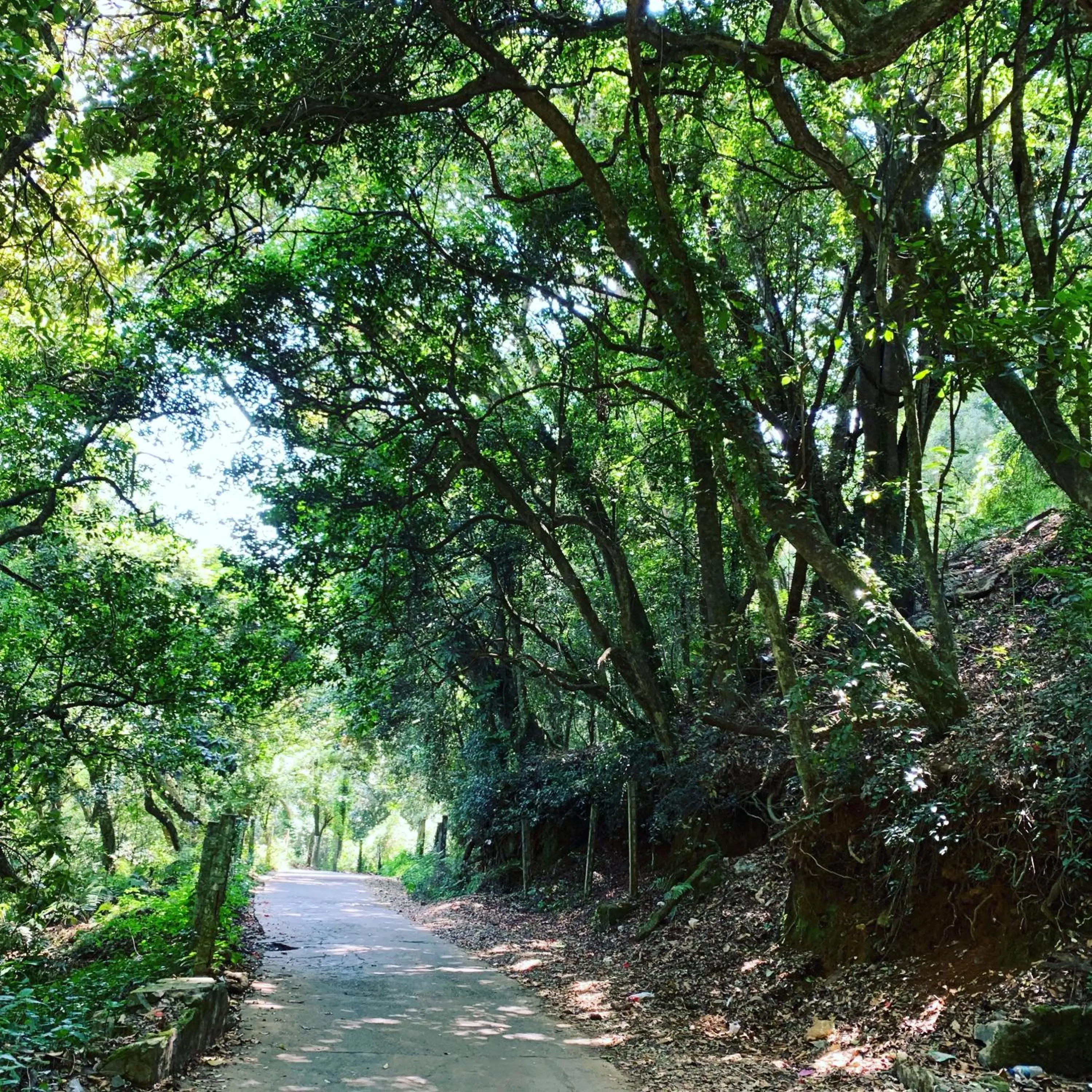 Neighbourhood in Hotel Jc Grand