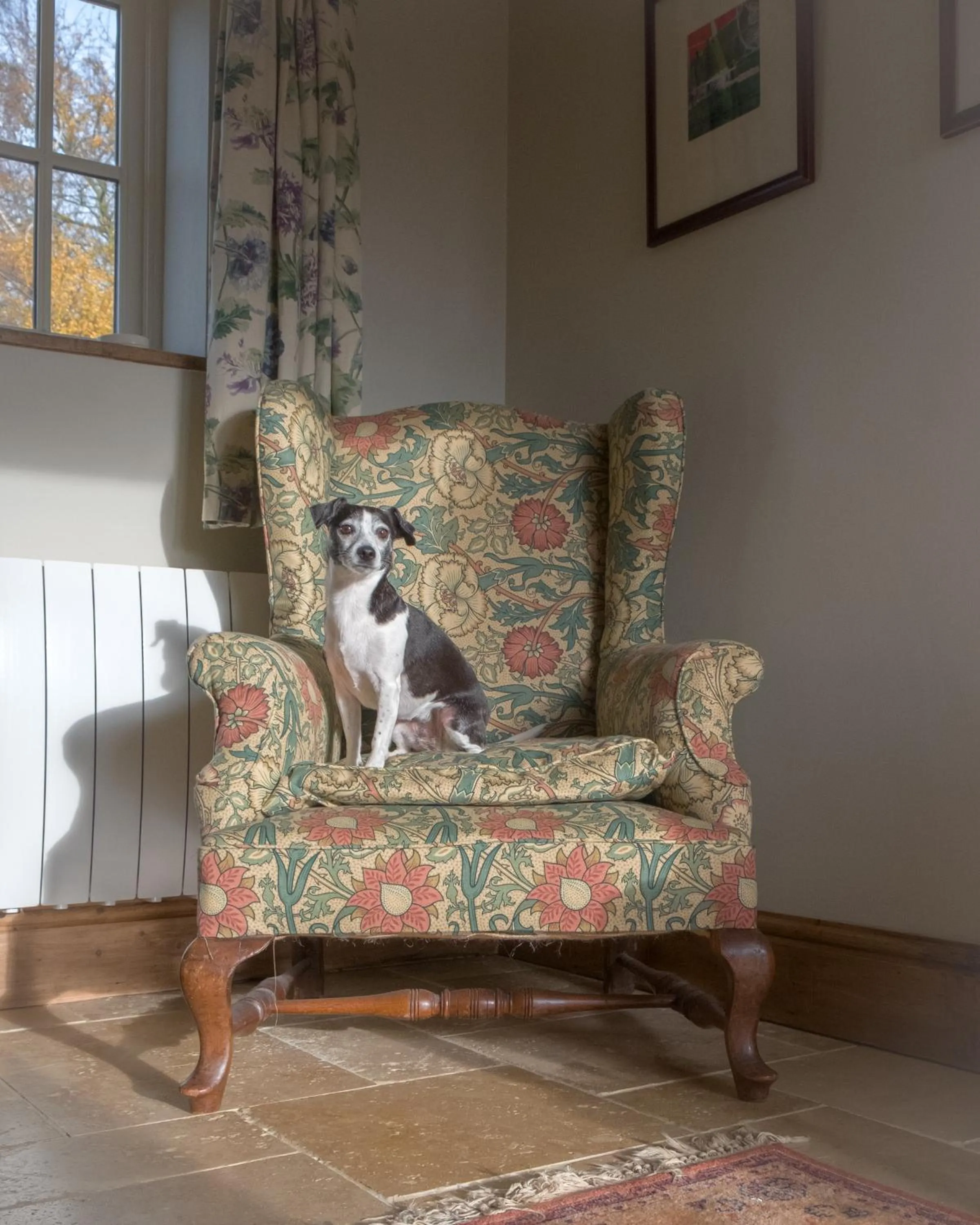 The Rear of the Plough,Everdon.