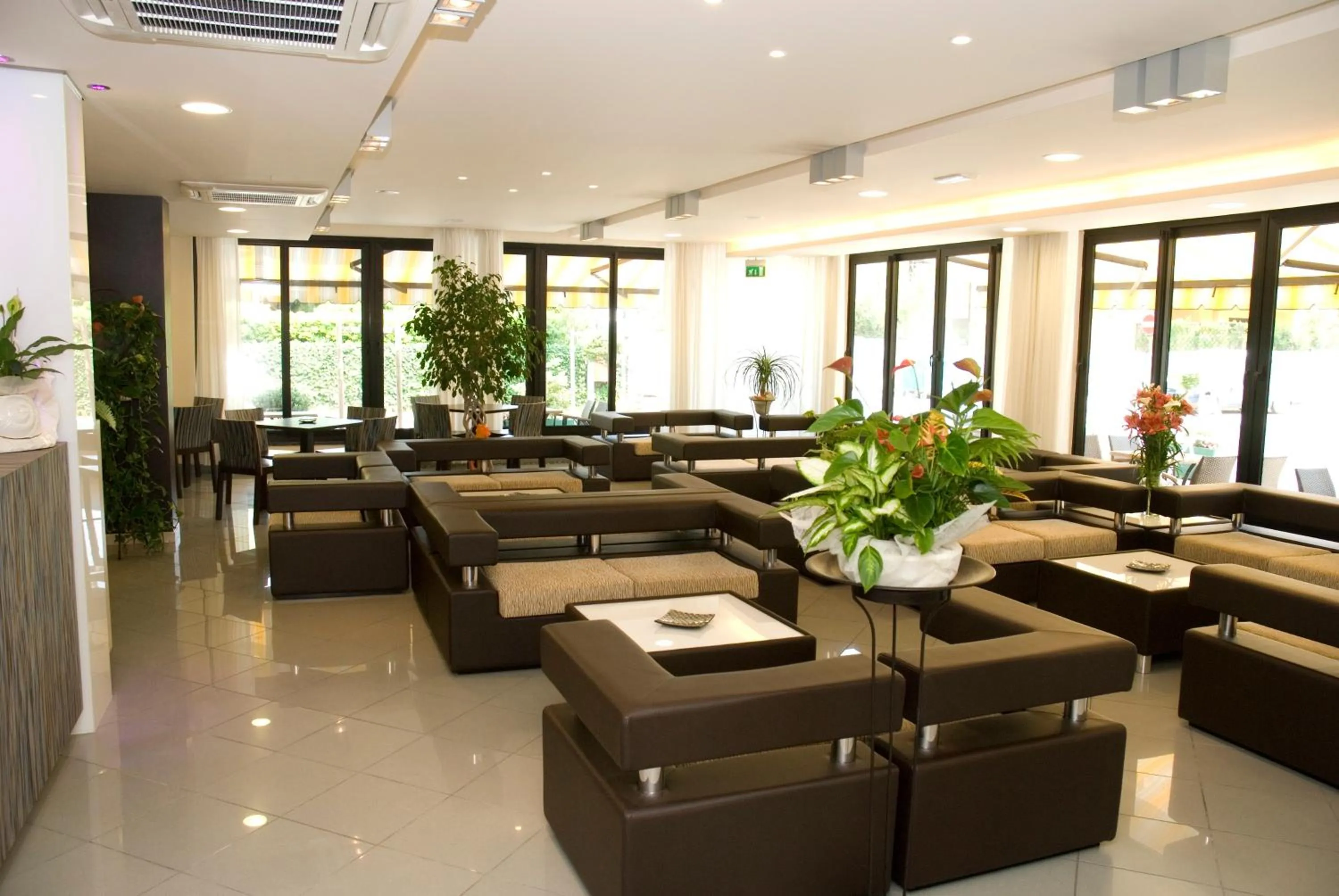 Lobby or reception in Hotel Ambra