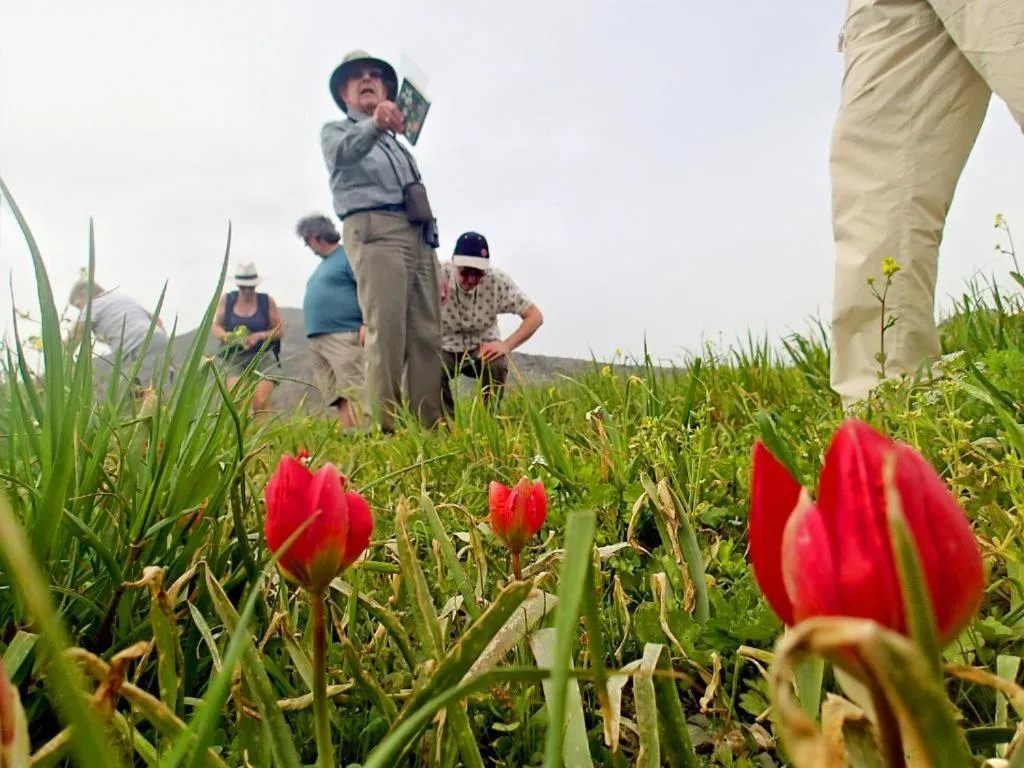 Natural landscape in Alexander Mountain Resort