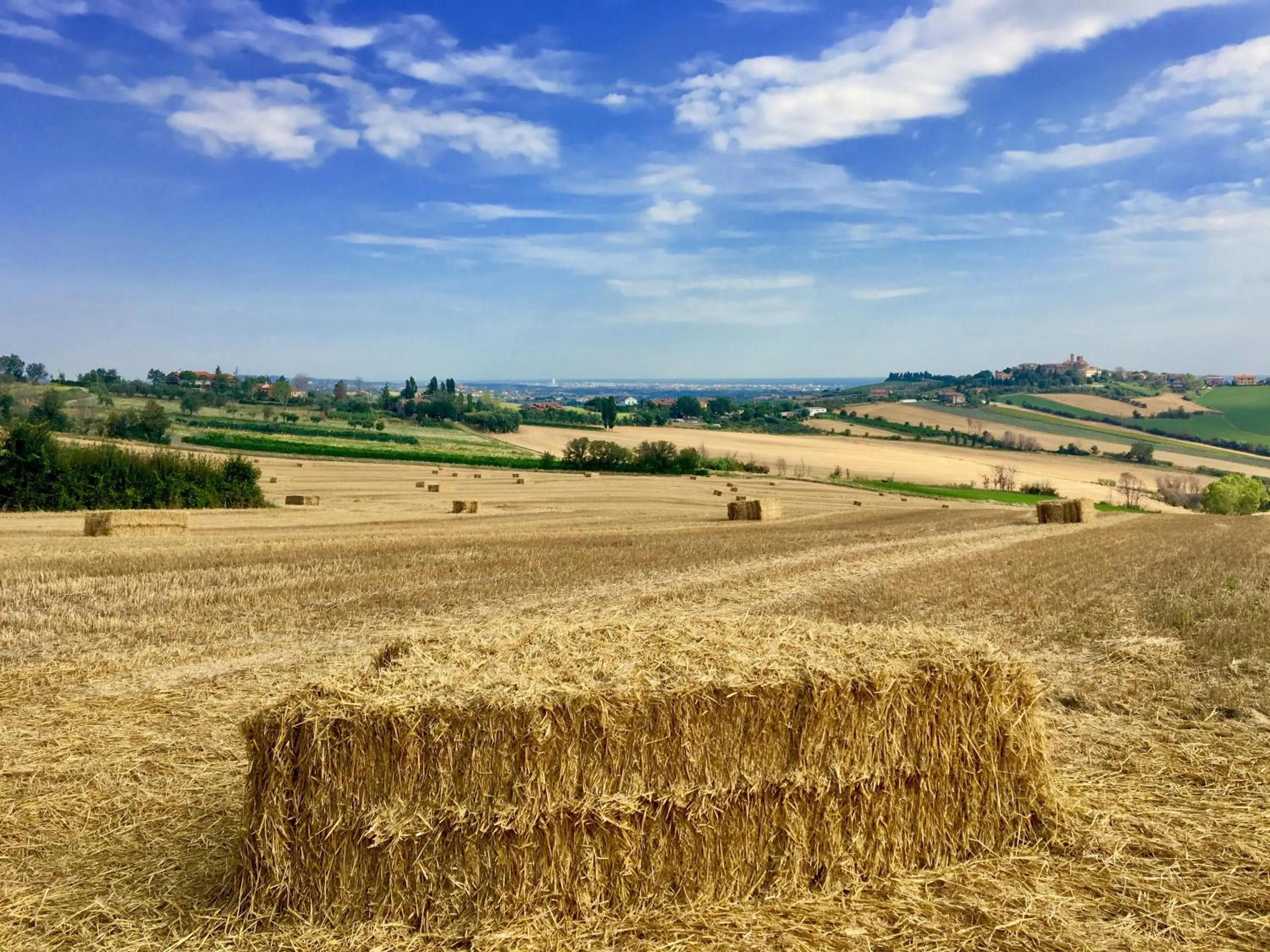Natural landscape in Locanda della Lavanda