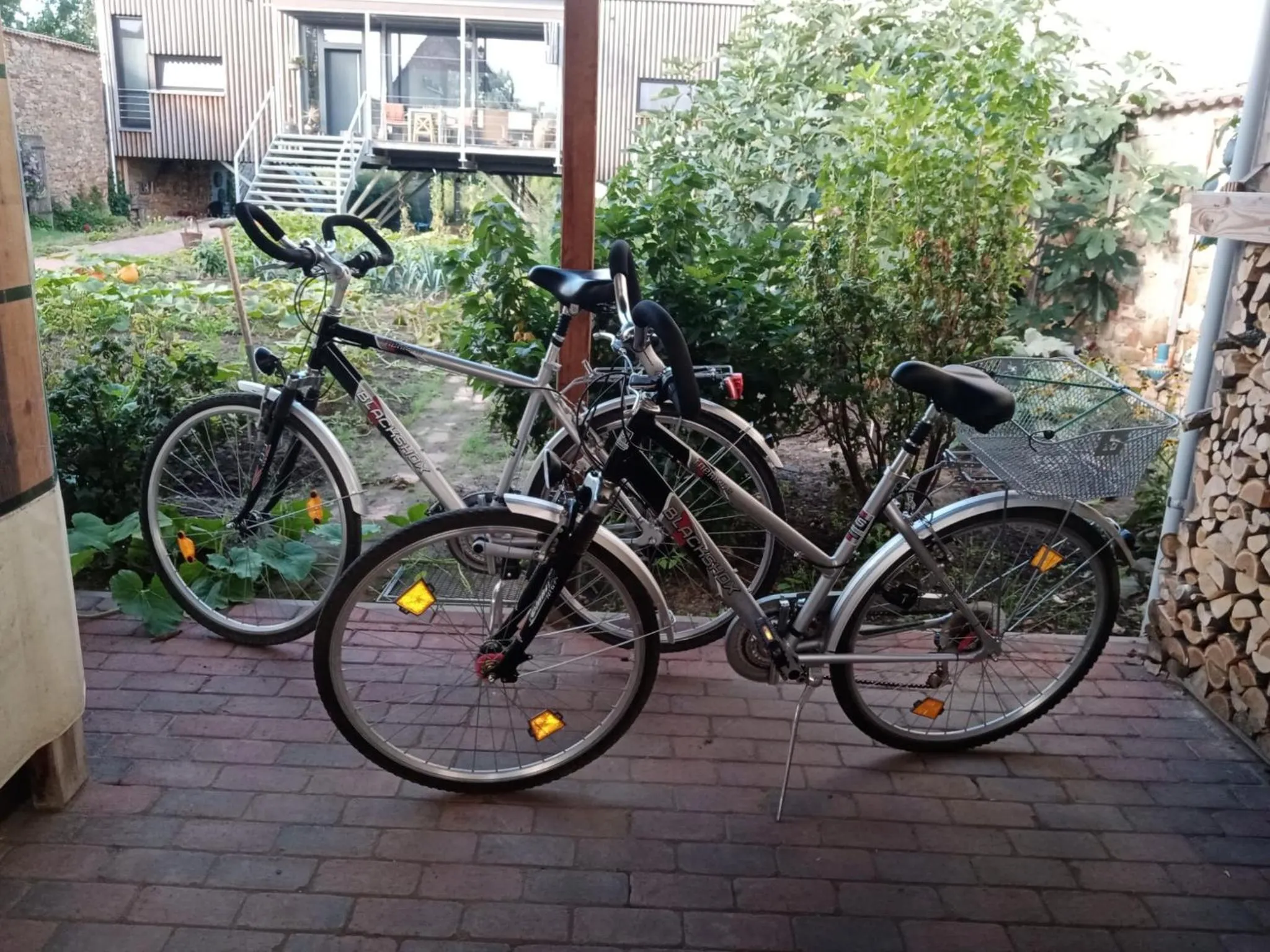 Cycling in Pension (FW) "Seeblick" am Stelzenhaus