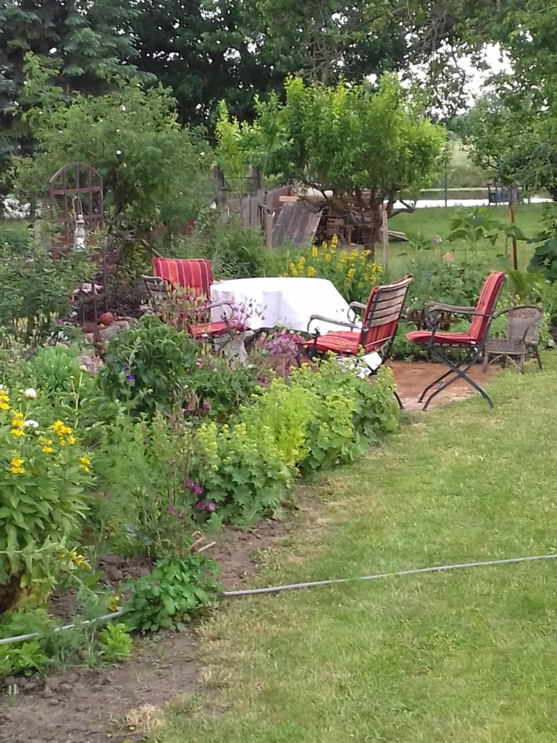 Garden in Pension (FW) "Seeblick" am Stelzenhaus