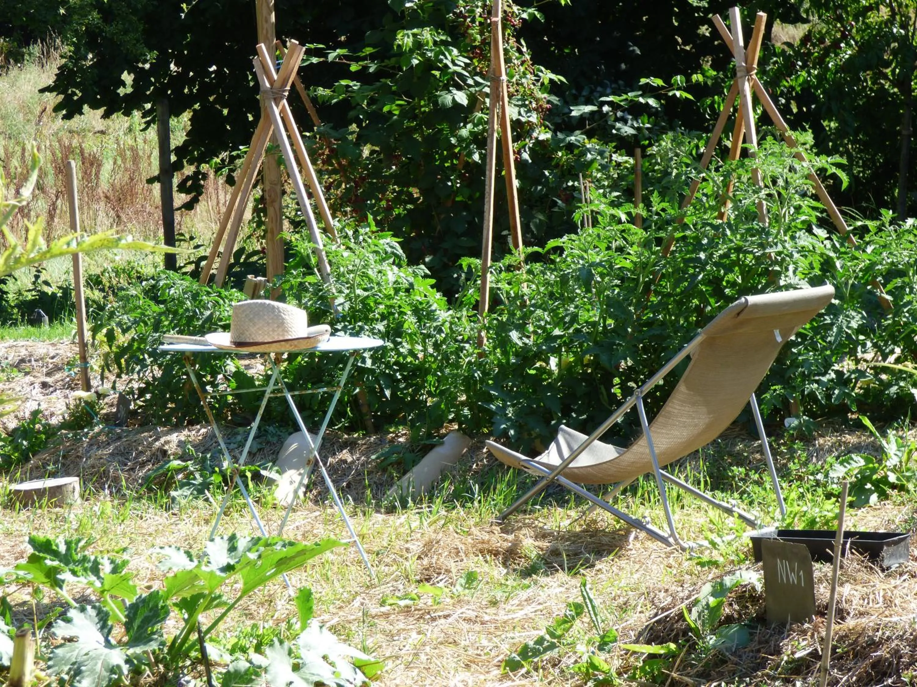 Garden in Au Son du Jardin Poitevin