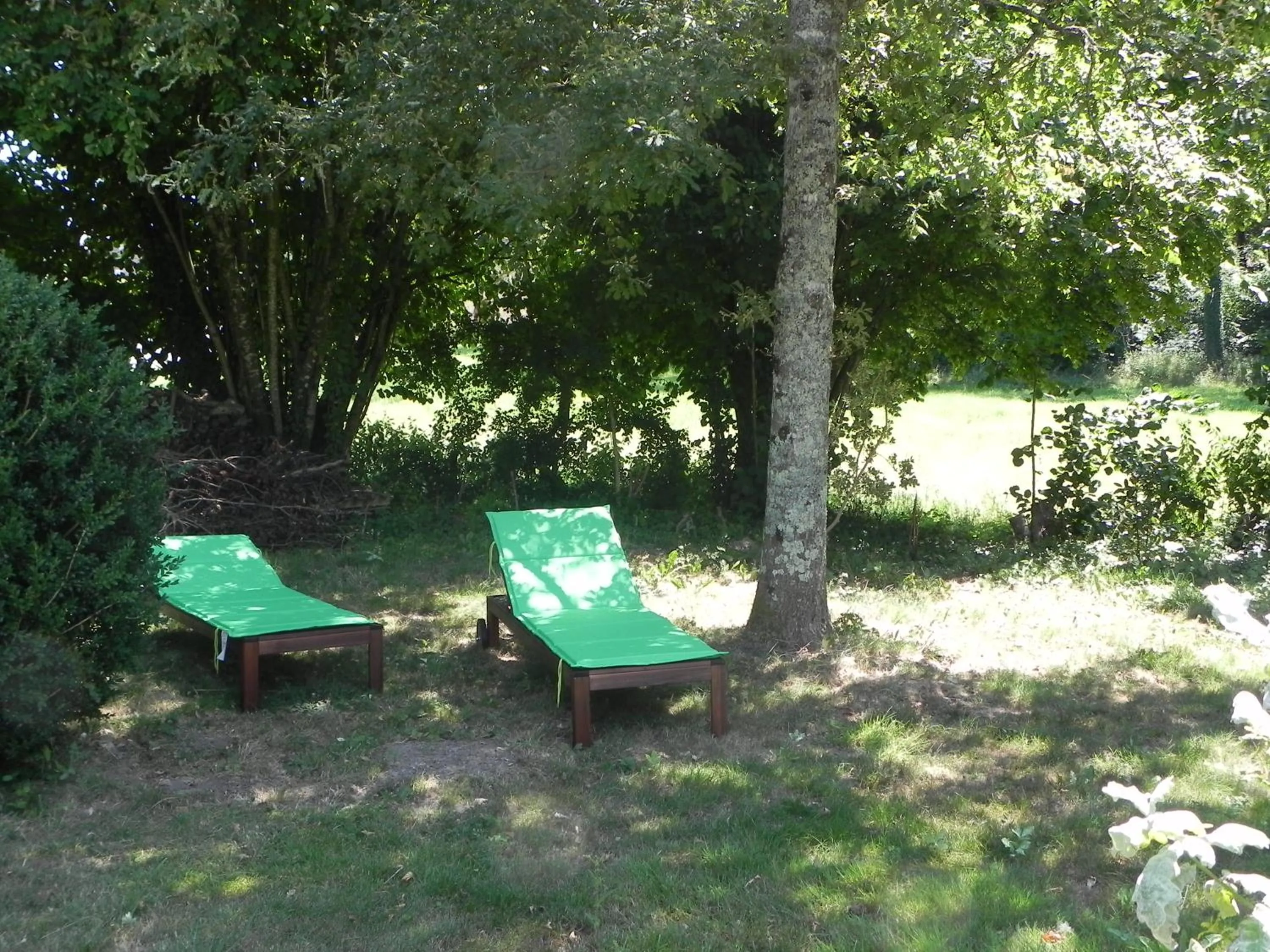 Garden in Au Son du Jardin Poitevin