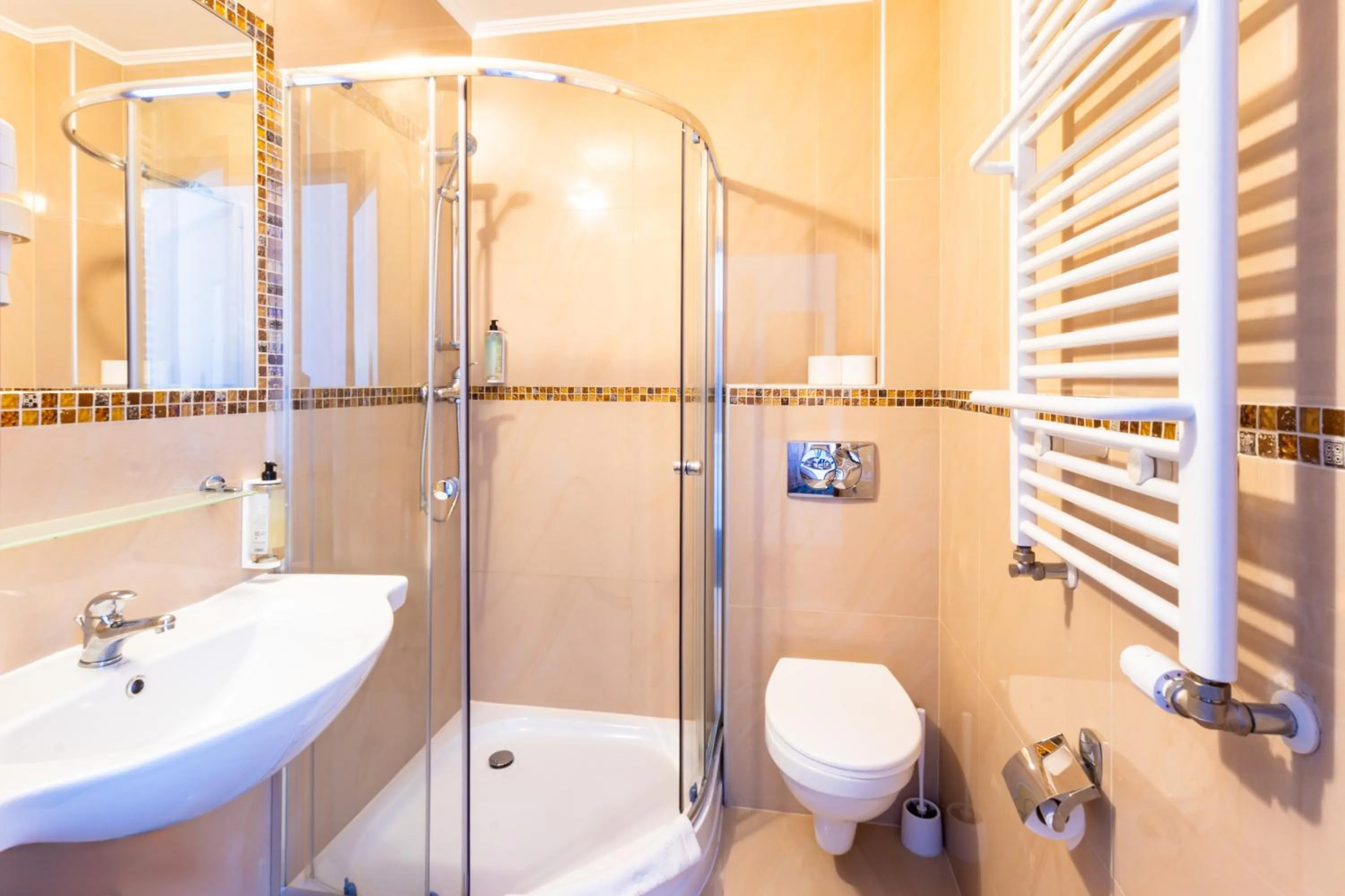 Shower in Noclegi Stadion Bed & Breakfast