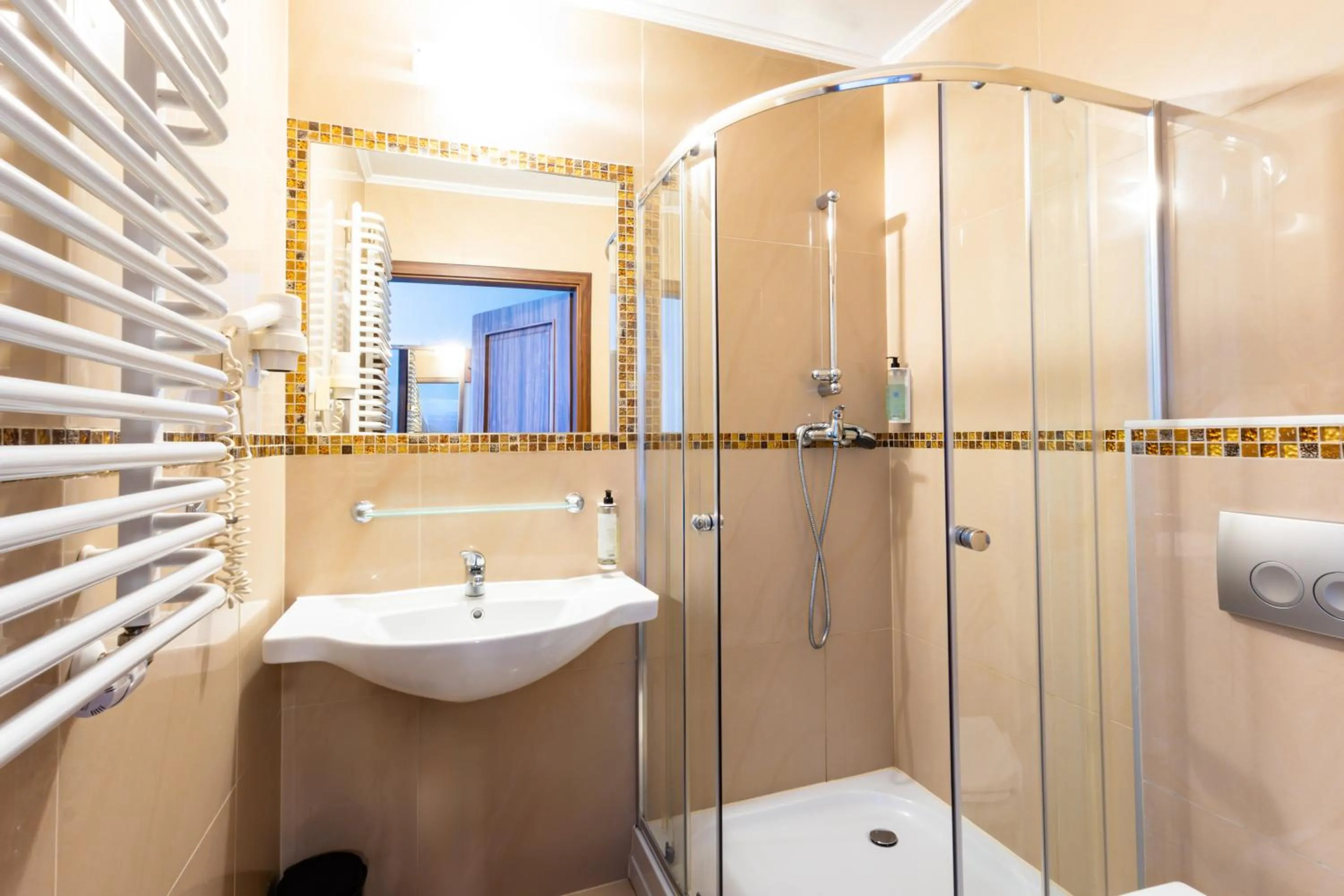 Shower in Noclegi Stadion Bed & Breakfast