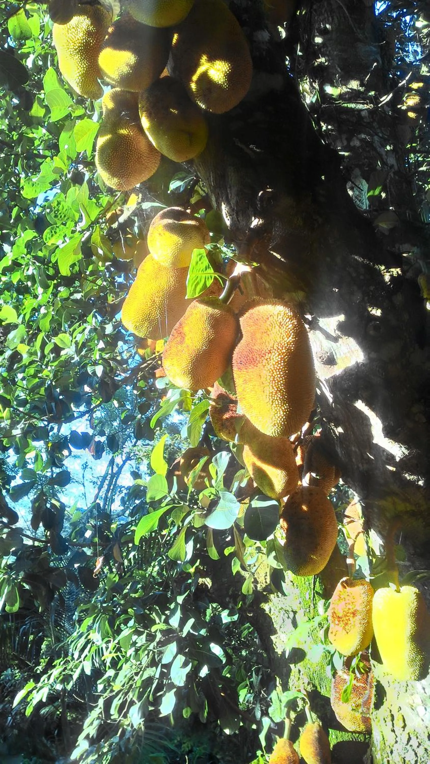 Seasons in Chalé Rancho Aratama