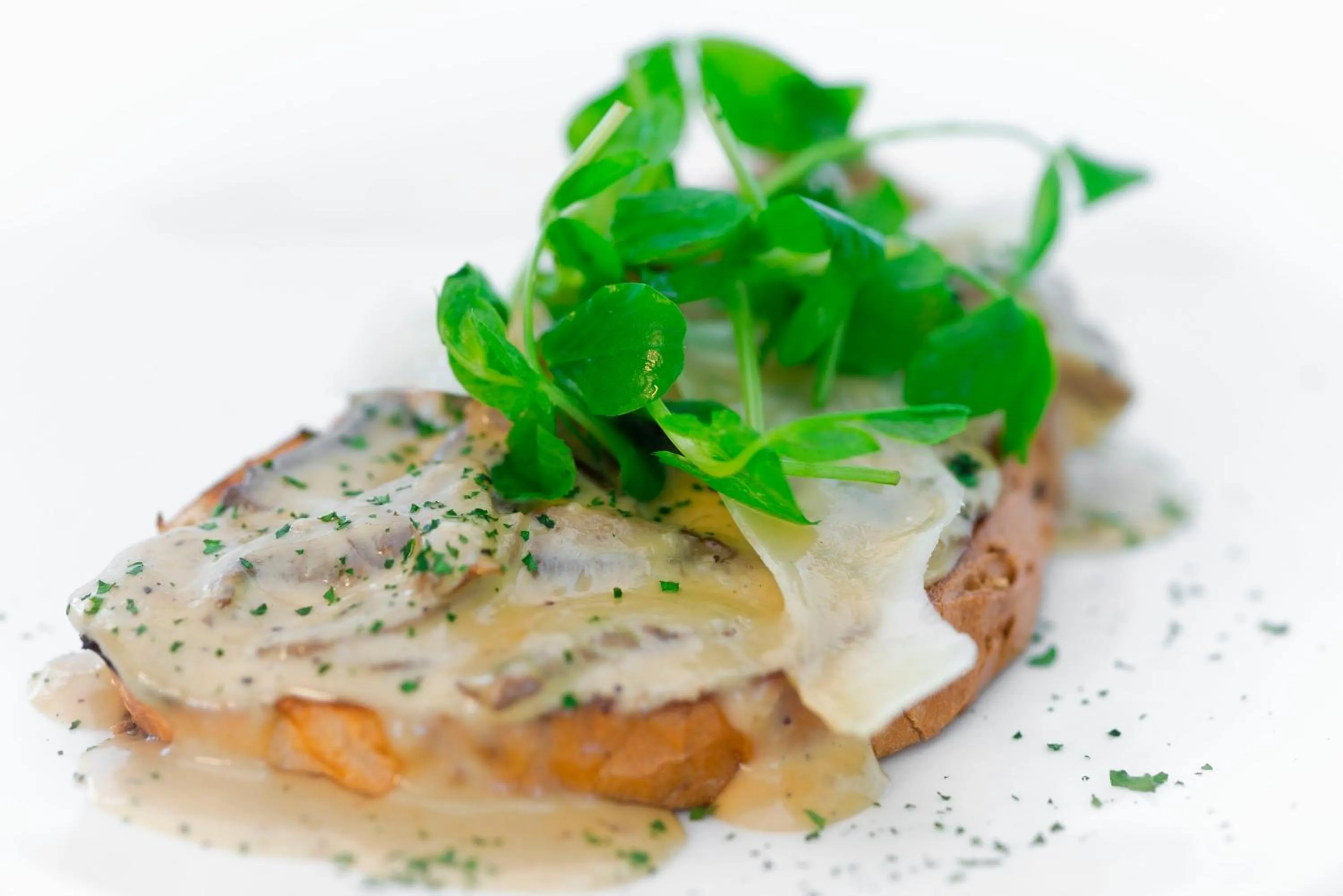 Food close-up in Wagon & Horses