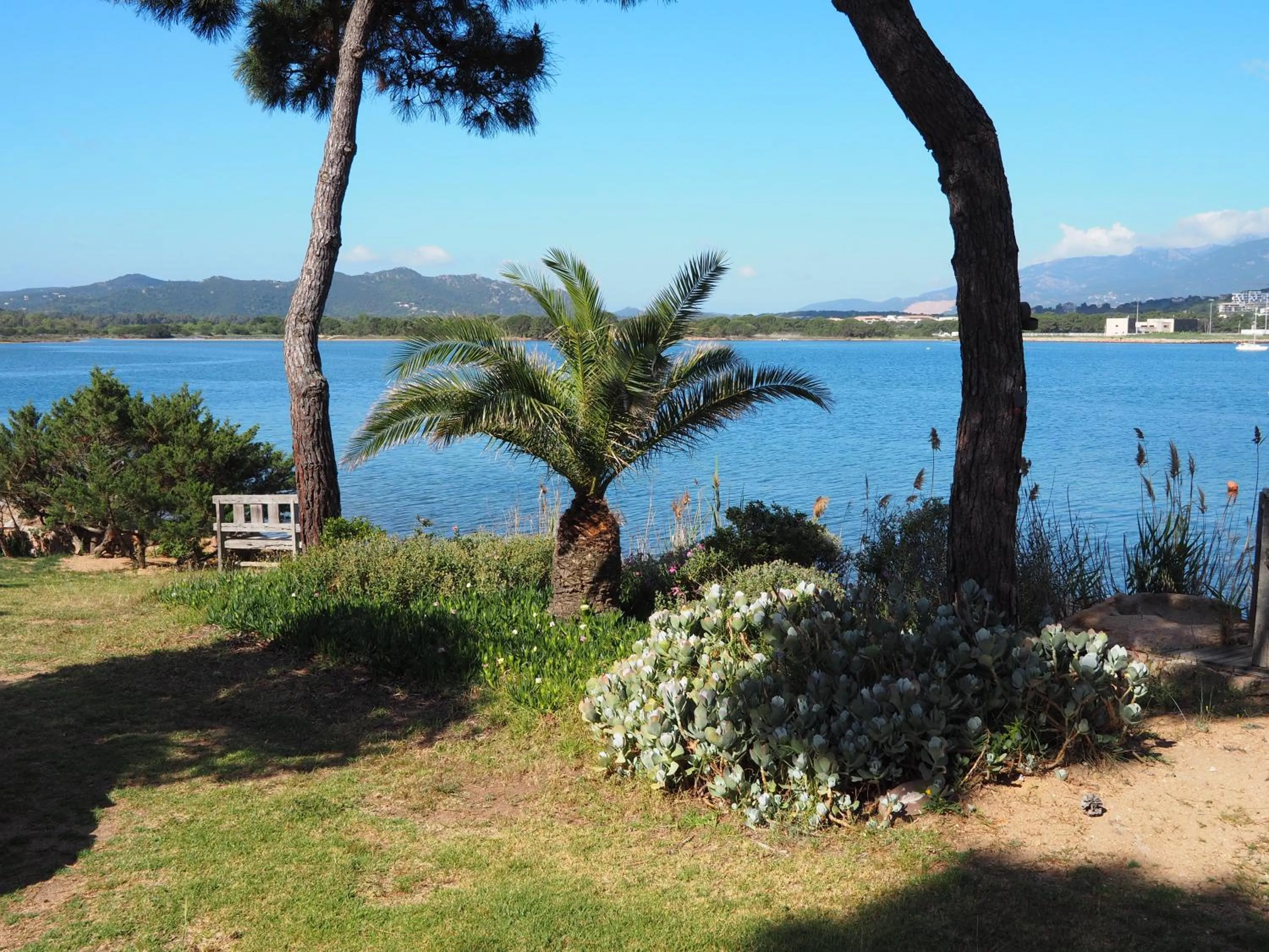 Garden in Maranatha Porto Vecchio