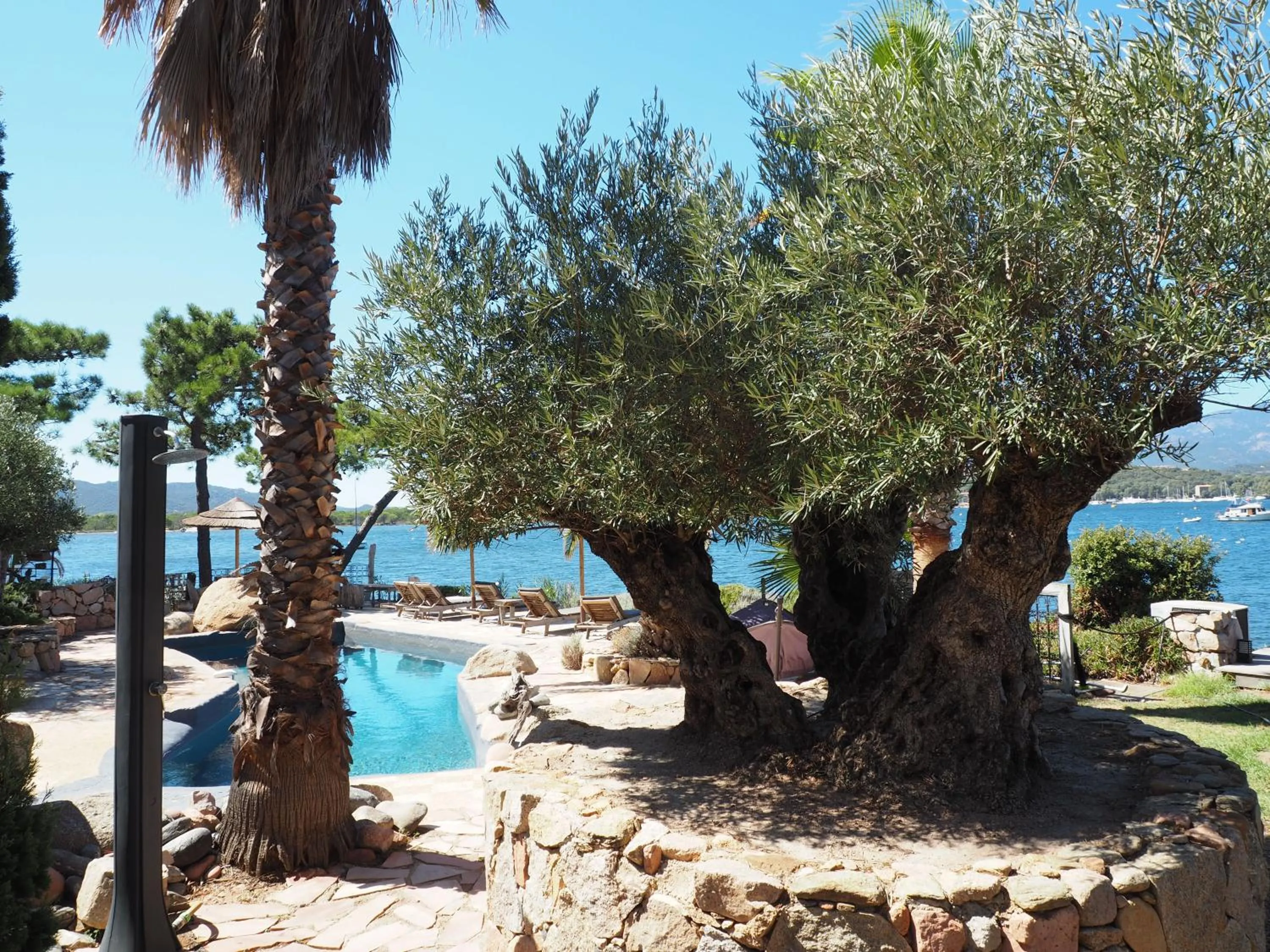 Pool view in Maranatha Porto Vecchio
