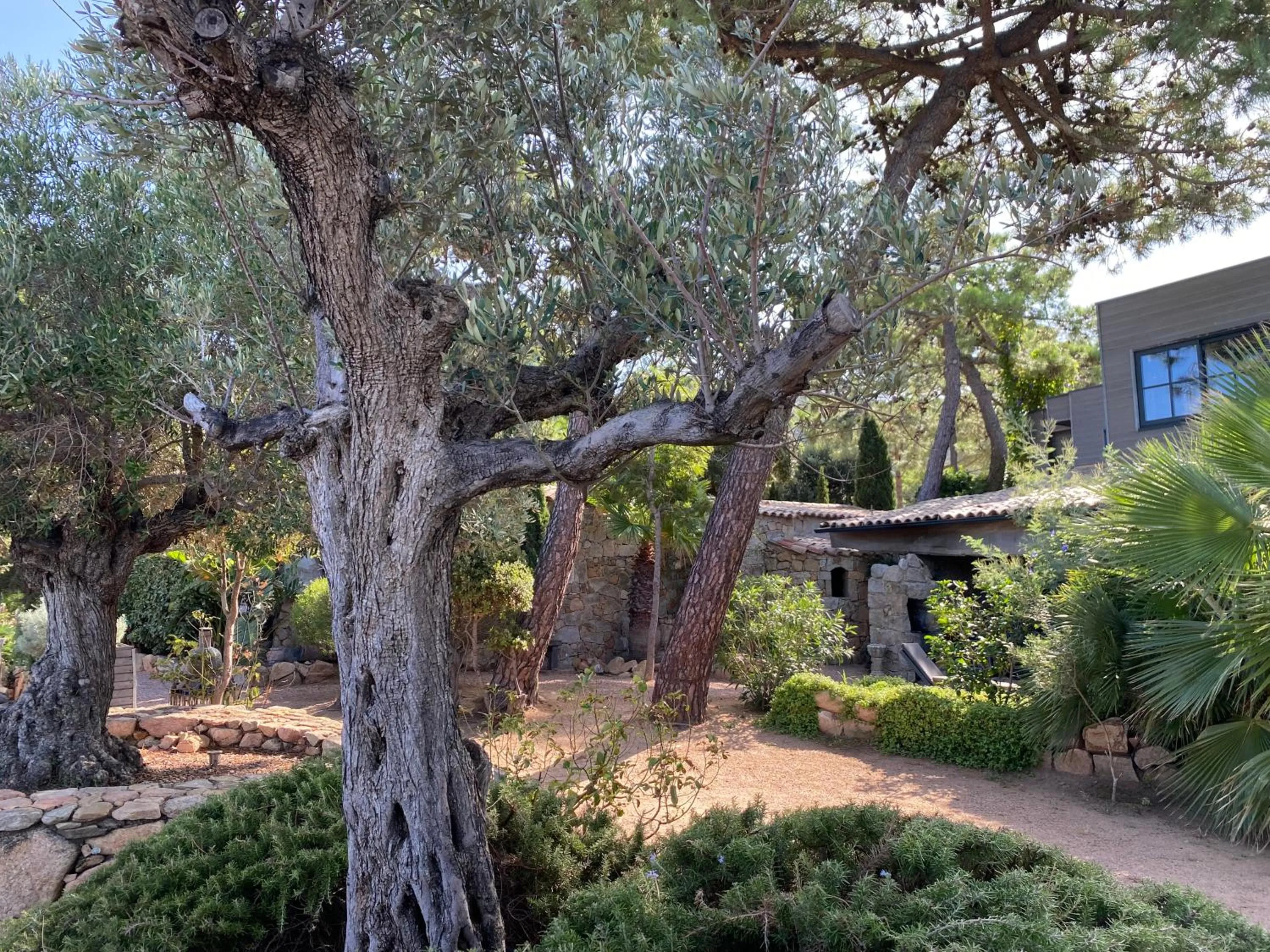 Property Building in Maranatha Porto Vecchio