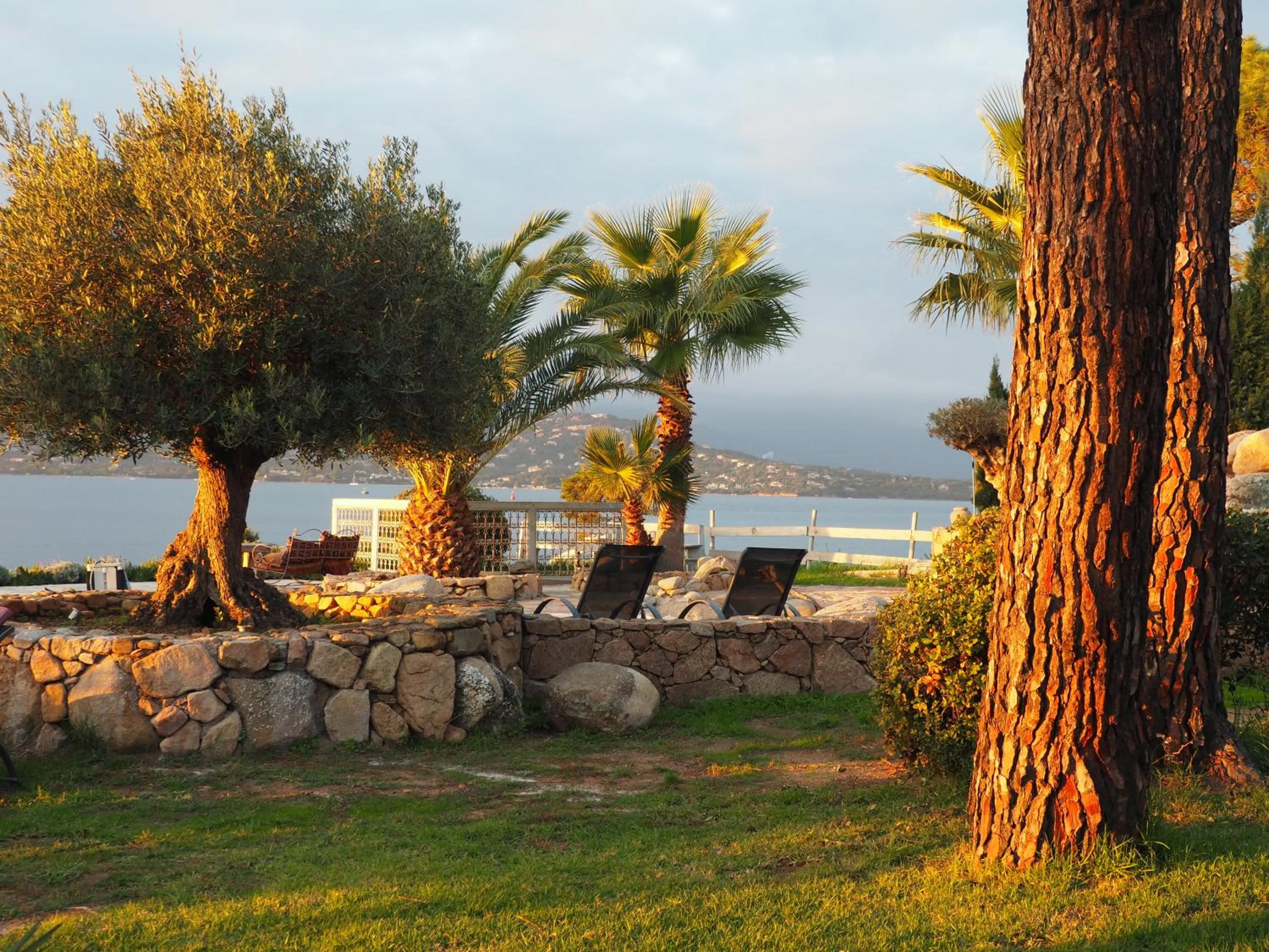 Garden in Maranatha Porto Vecchio