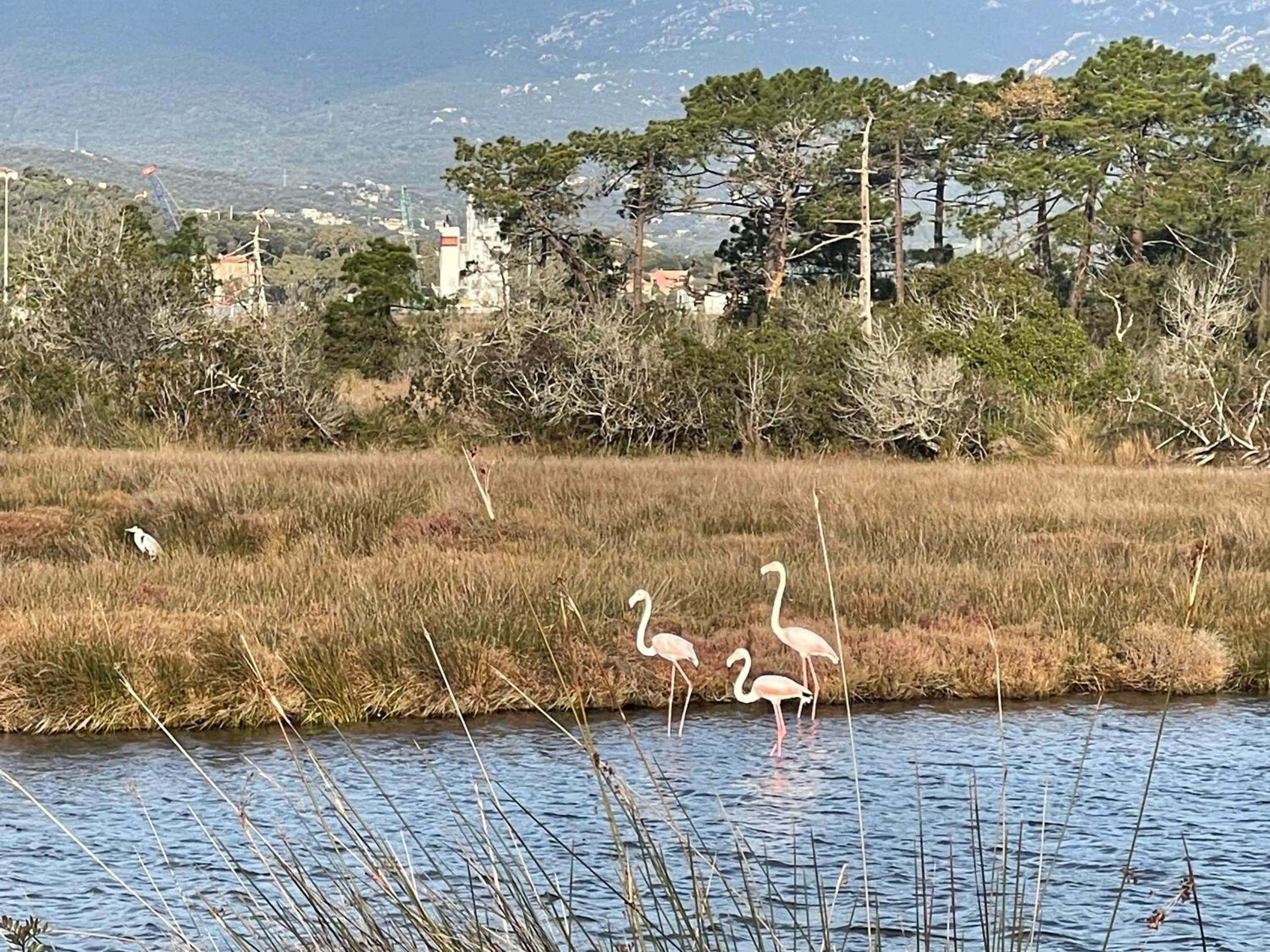 Natural landscape in Maranatha, front de mer avec plage
