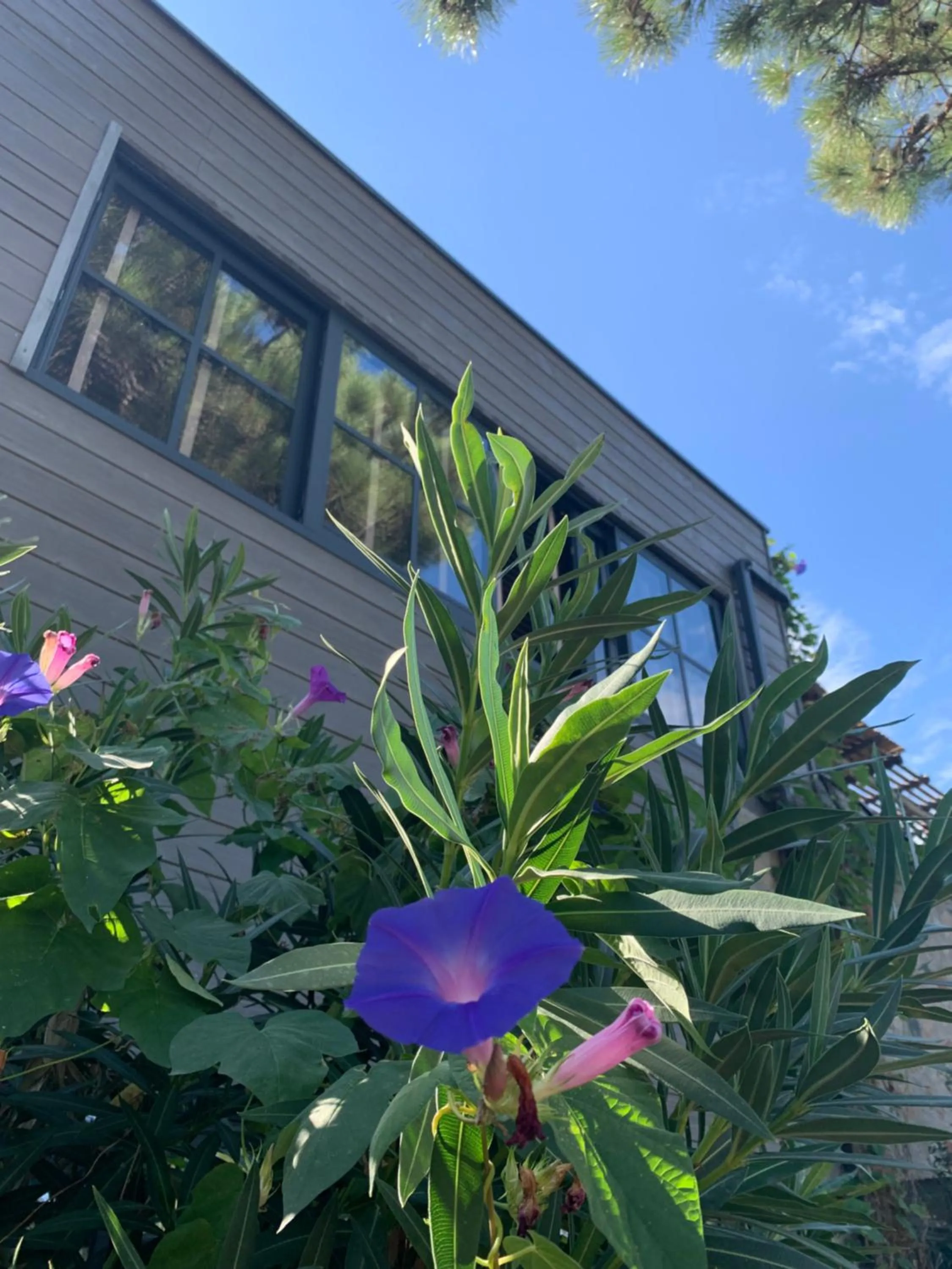 View (from property/room), Property Building in Maranatha Porto Vecchio