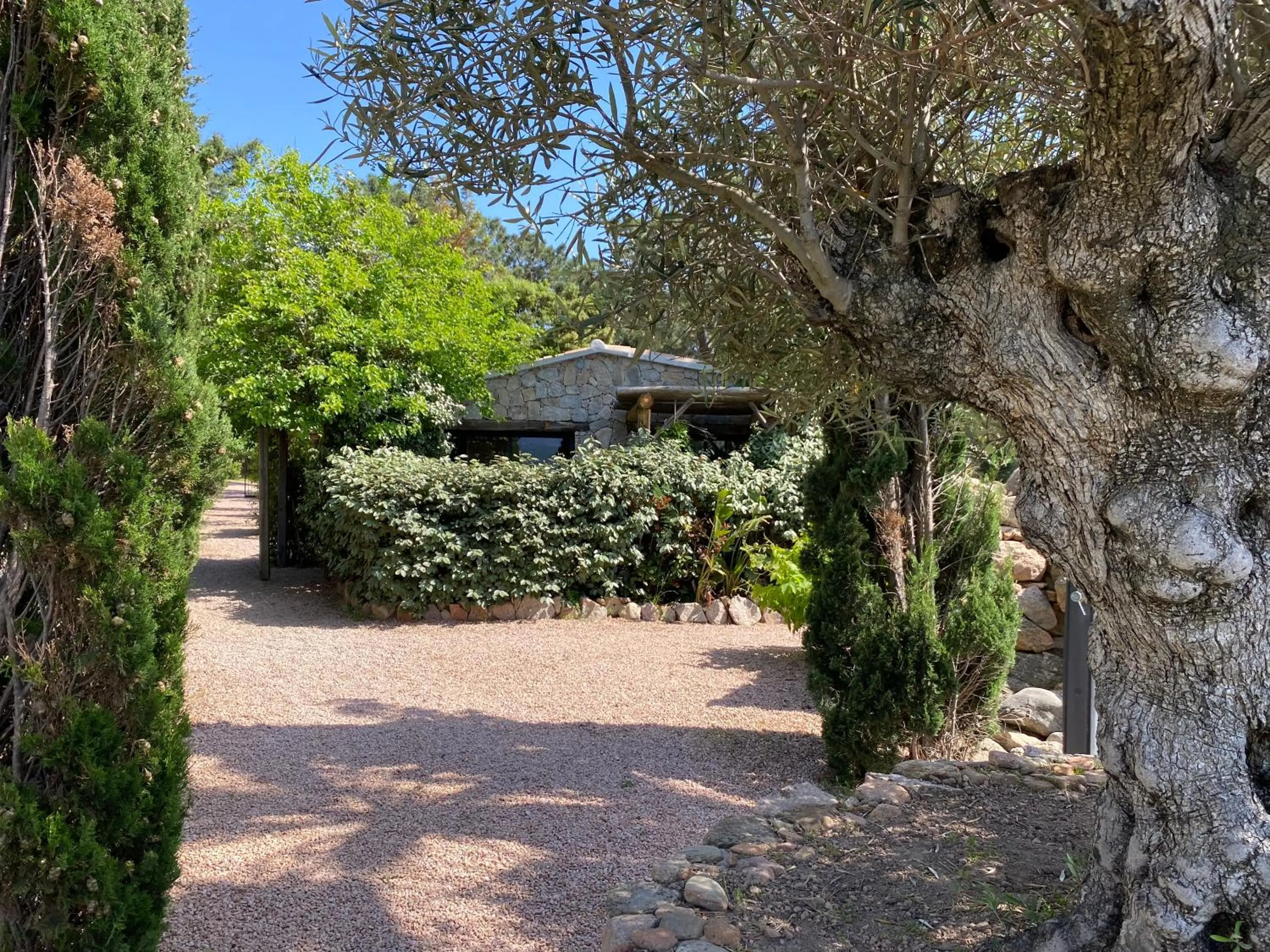 Garden, Property Building in Maranatha Porto Vecchio