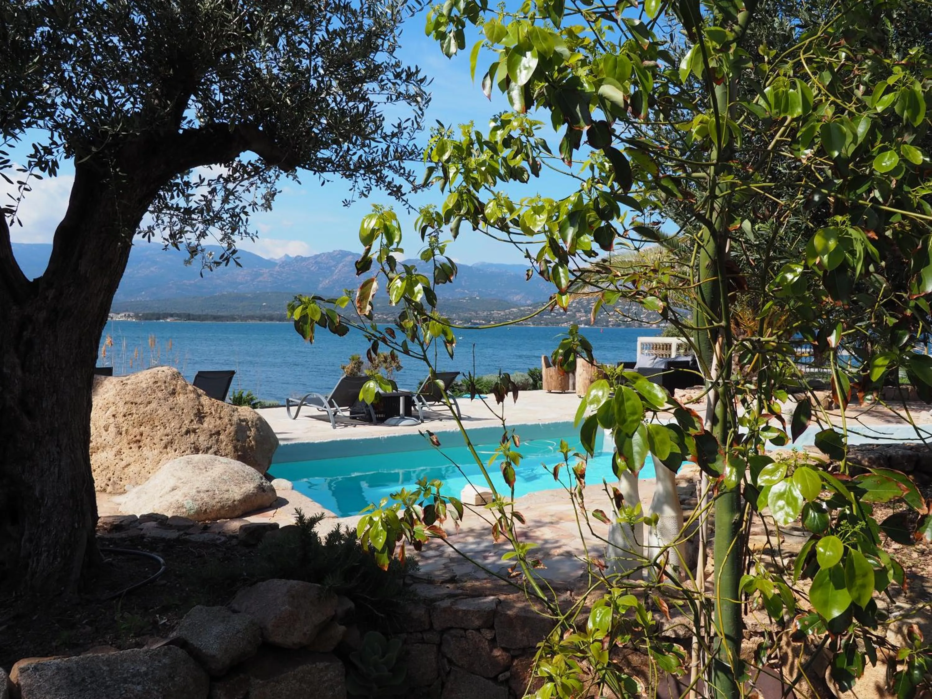 Swimming Pool in Maranatha Porto Vecchio