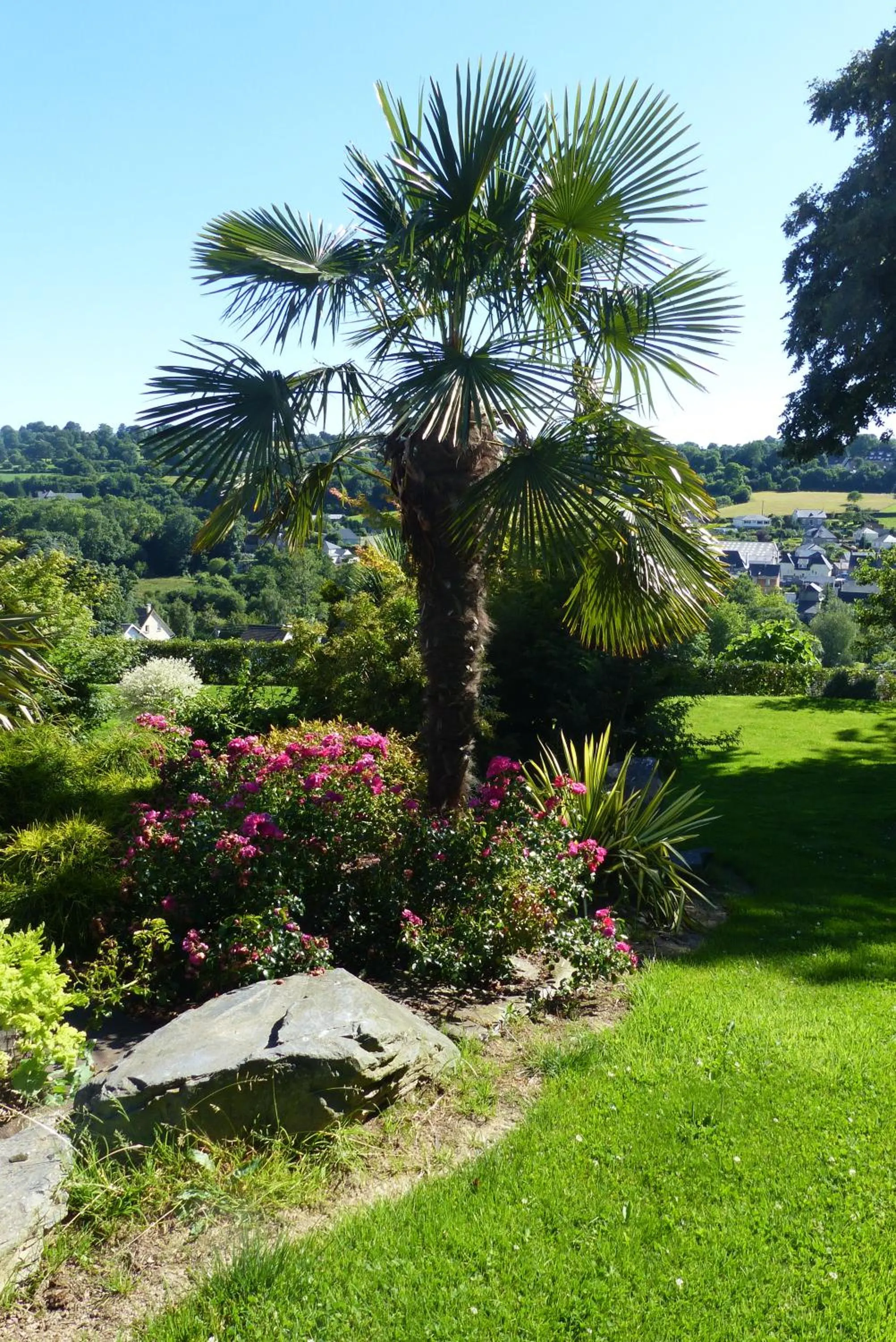 Spring in Le Domaine Des Chevaliers De Malte