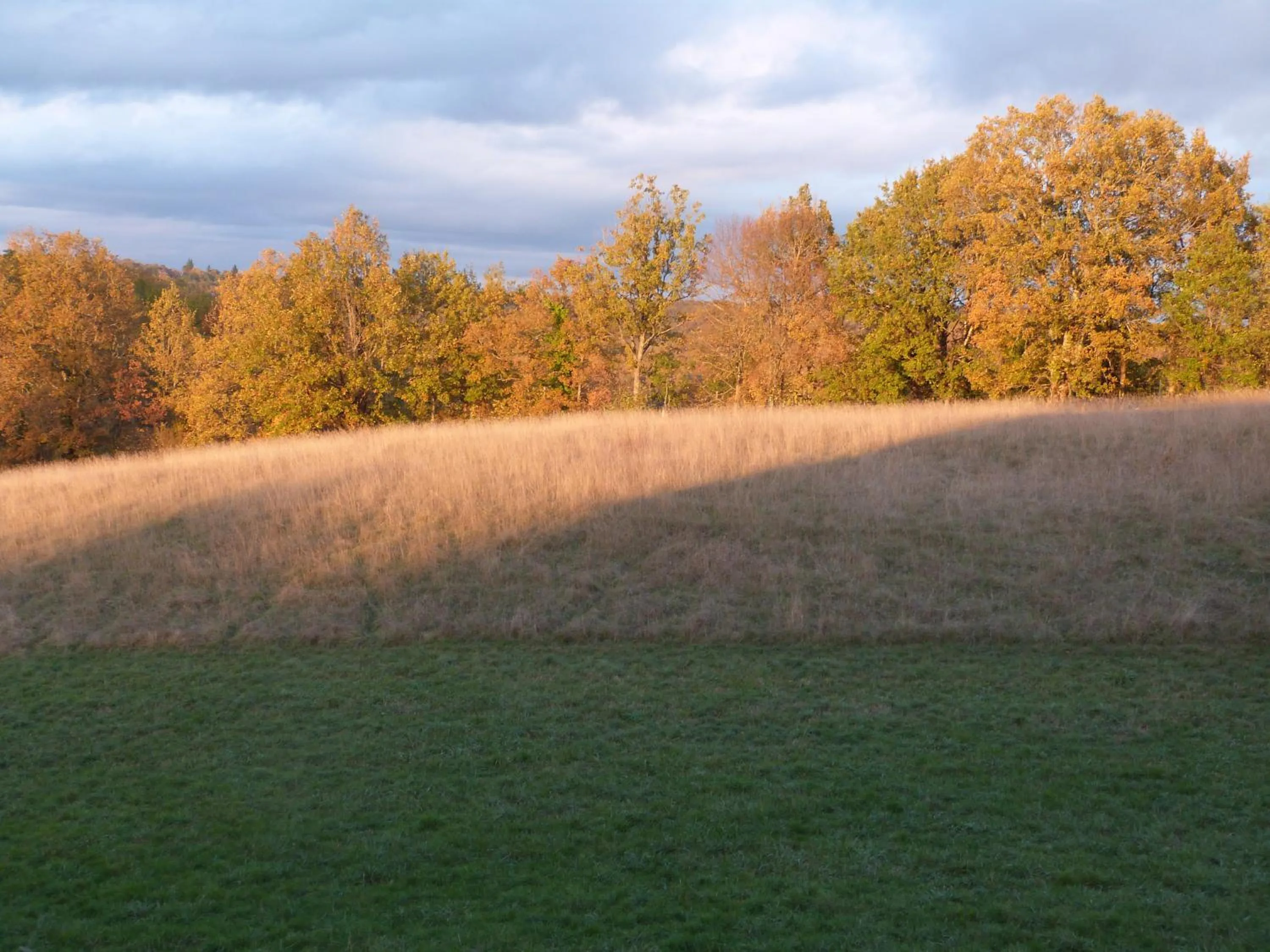Garden in Chambres d'hotes Le Plassalou
